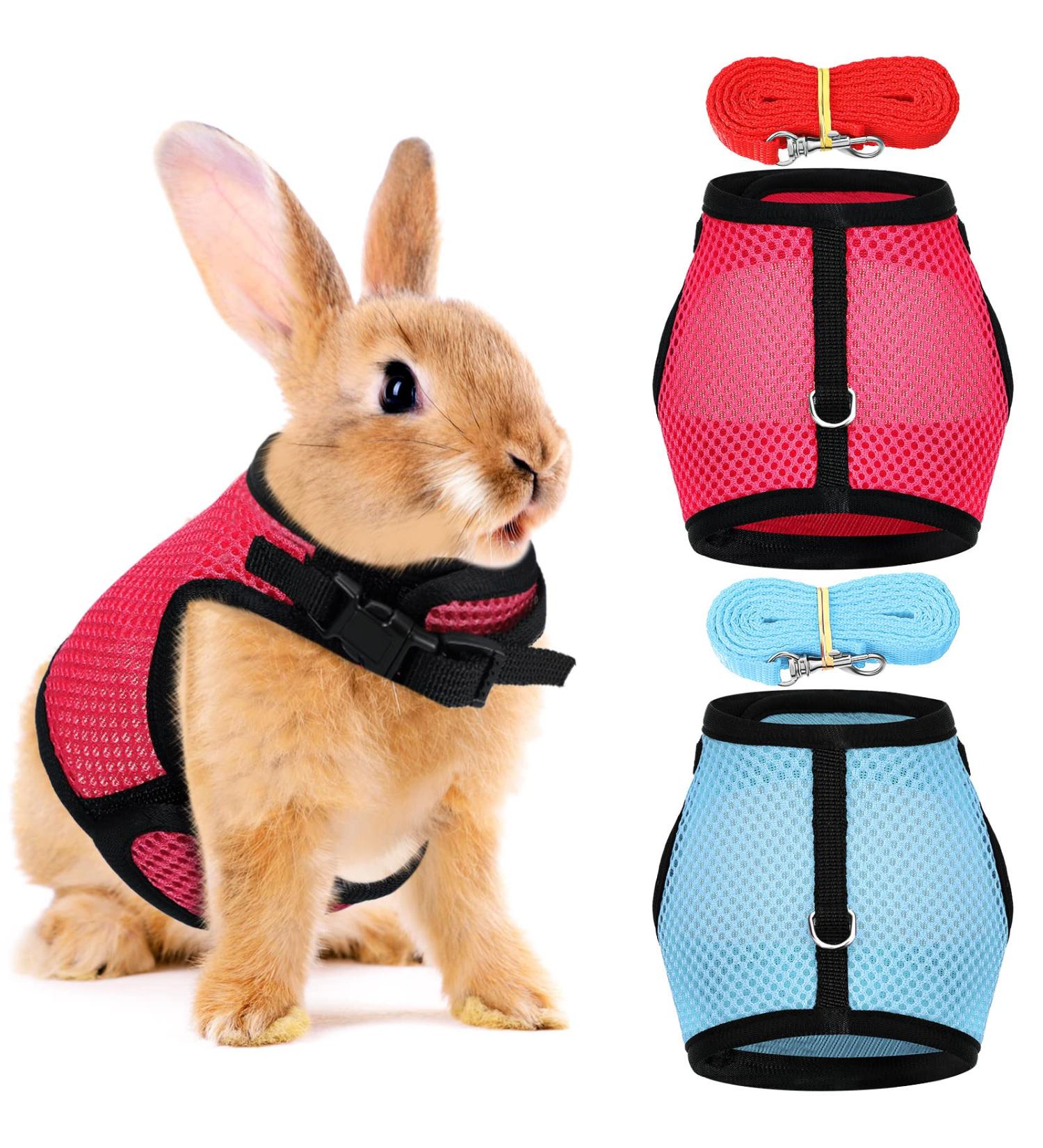 Adjustable Soft Rabbit Dishes | 2 Pack with Elastic Drag Line for Cats & Small Pets | Ideal for Walking & Jogging - Buy Online on GoSupps.com