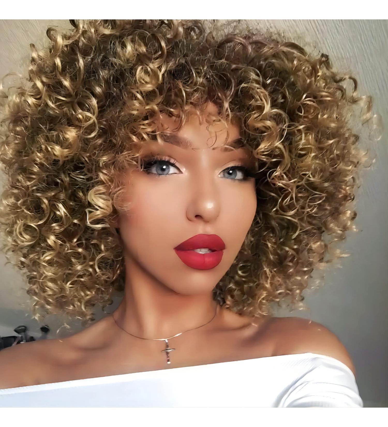 AISI QUEENS Short Kinky Curly Afro Wig for Black Women - Brown Mixed Blonde Synthetic Heat Resistant Wig with Cap - Buy Online on GoSupps.com