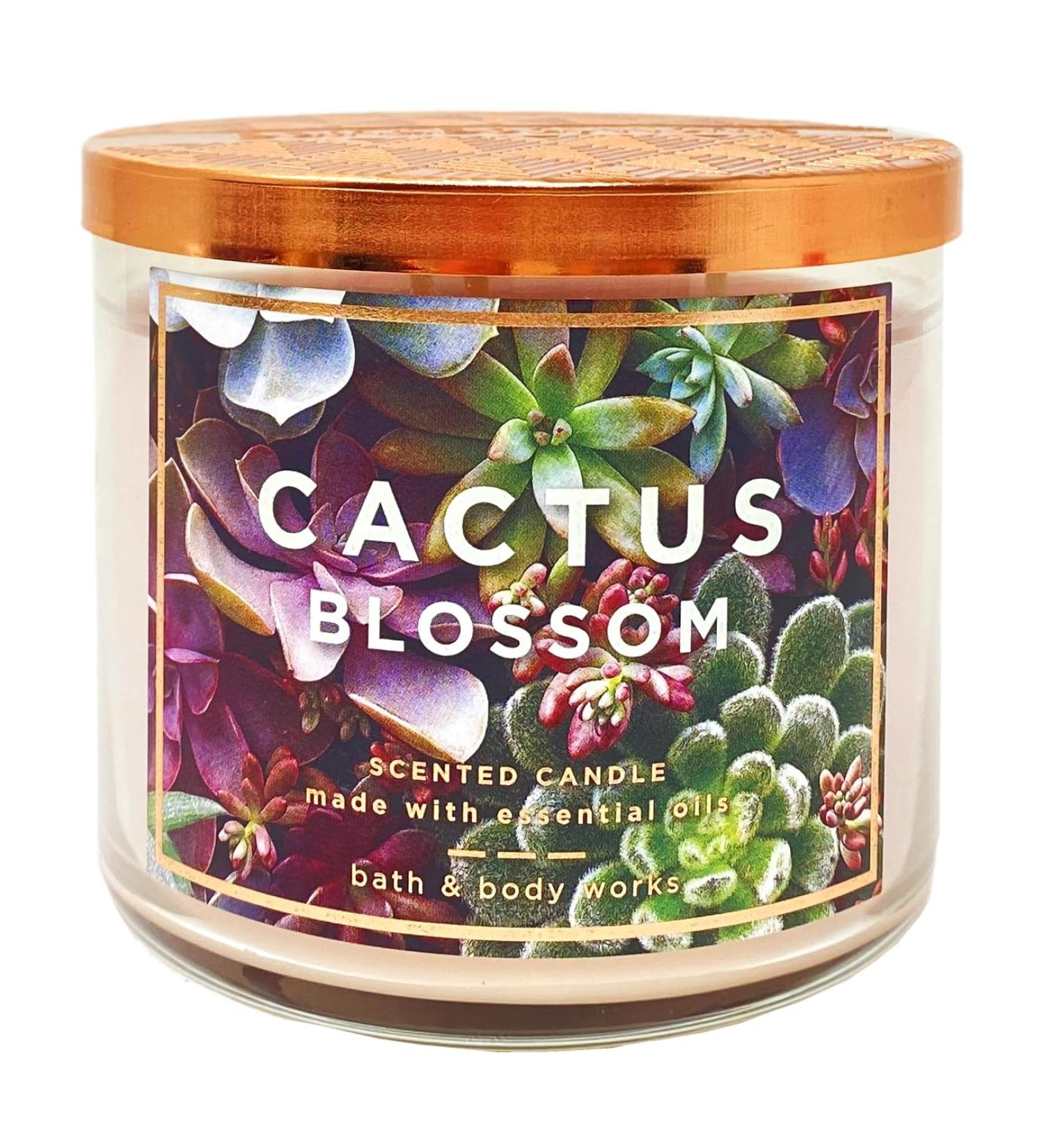 Bath and Body Works Cactus Blossom 3-Wick Scented Candle - 14.5 oz | Shop Internationally - Buy Online on GoSupps.com
