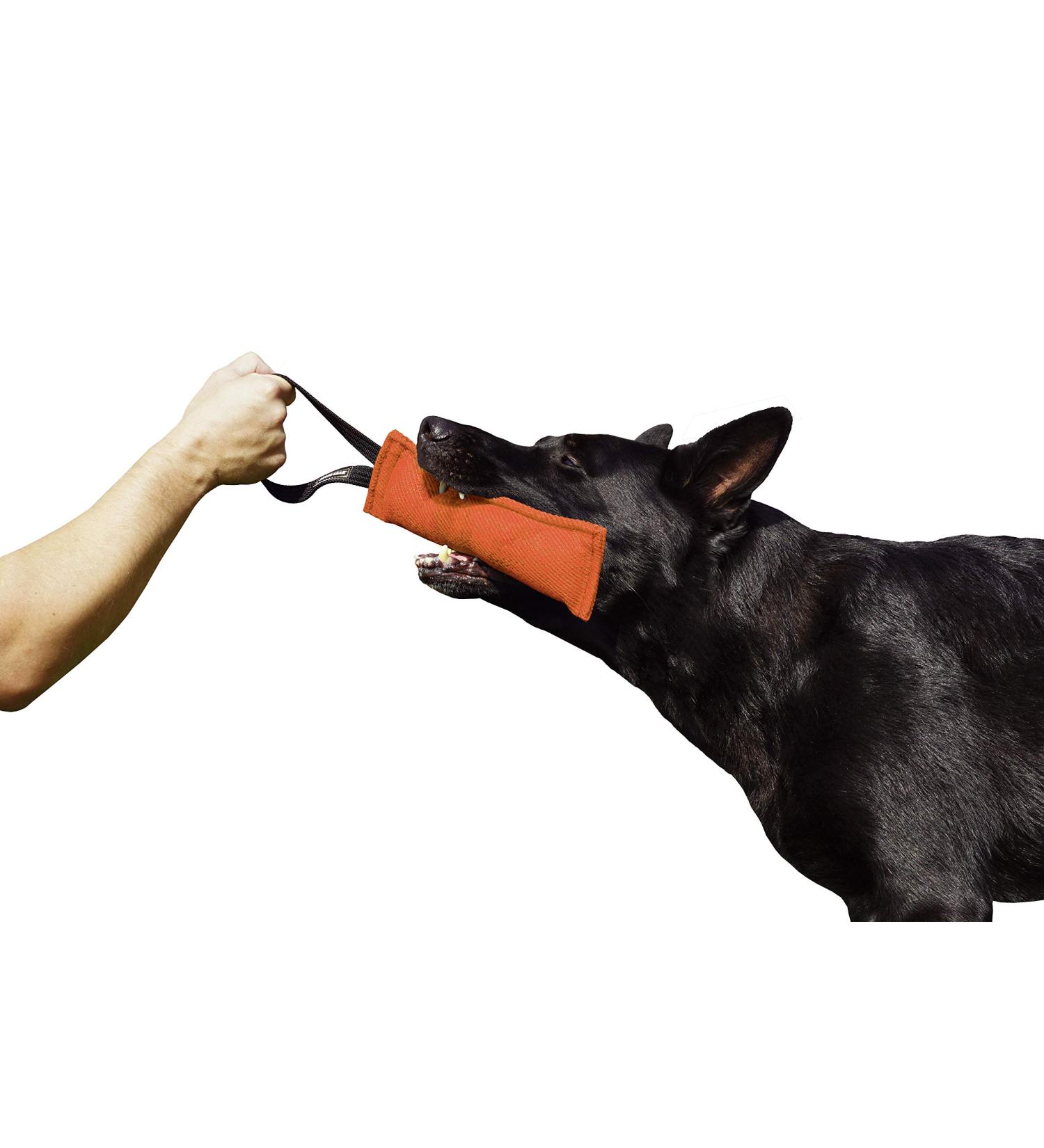 Buy Dingo Gear Cotton Nylon Bite Sausage for Dog Training - IGP IPO Obedience Protection Sport - 20x7 cm - Orange - Buy Online on GoSupps.com