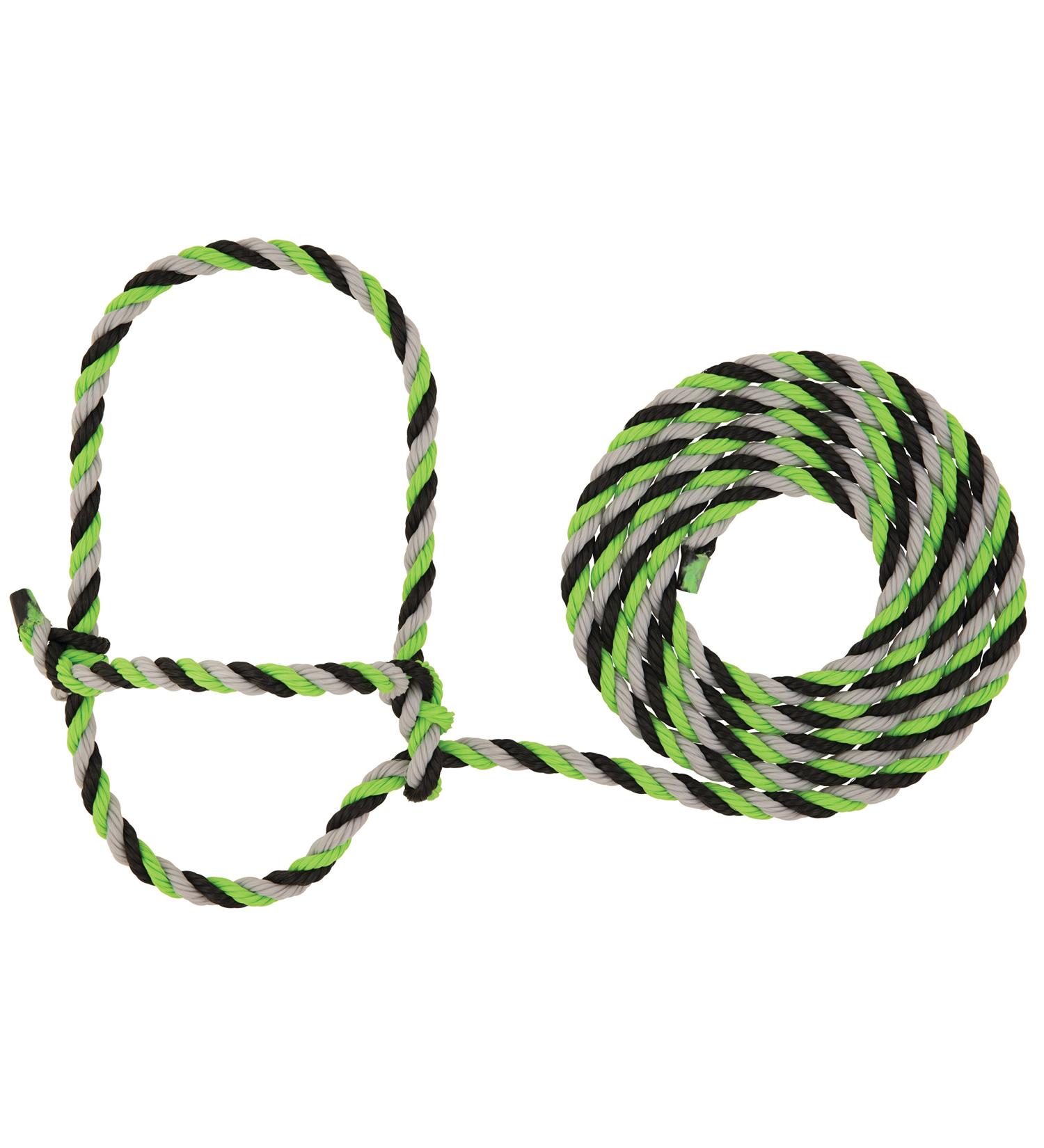 Weaver Leather Livestock Cattle Poly Rope Halter, Lime Zest/Black/Gray