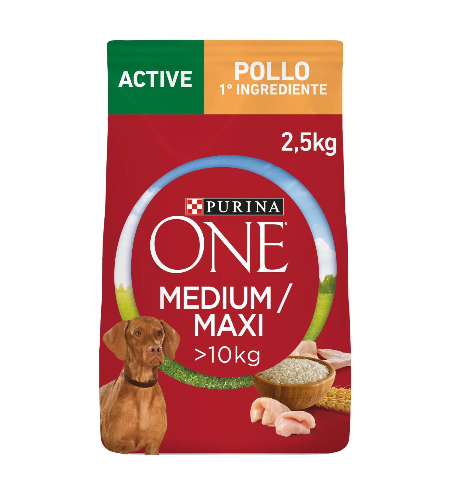 Purina ONE Medium/Maxi 10 kg Dog Food 4 Bags of 2.5 kg each - Buy Online on GoSupps.com