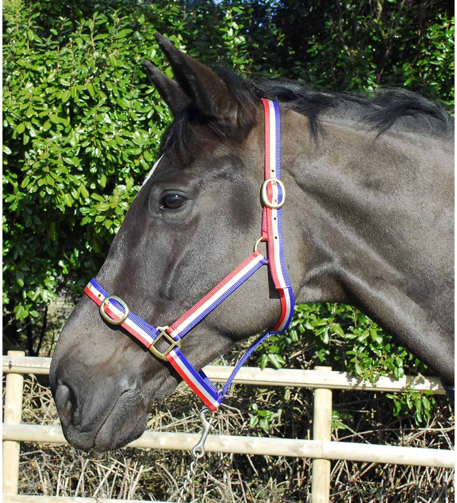 Rhinegold Nylon Halter Full Size Red / White / Blue