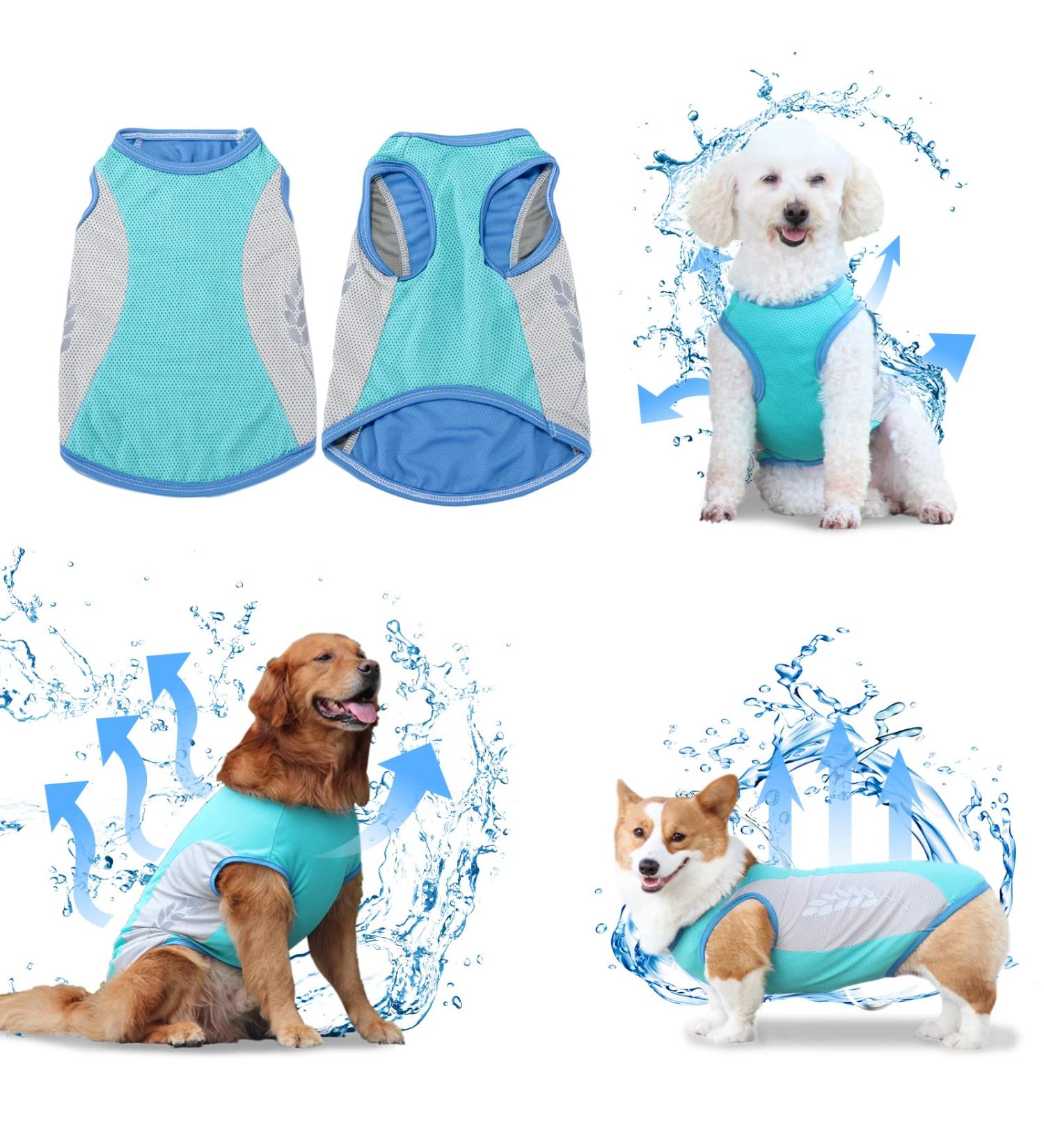 Dog Cooling Vest | Breathable Mesh Summer Jacket | Comfortable Dog Coat L - Blue - Buy Online on GoSupps.com