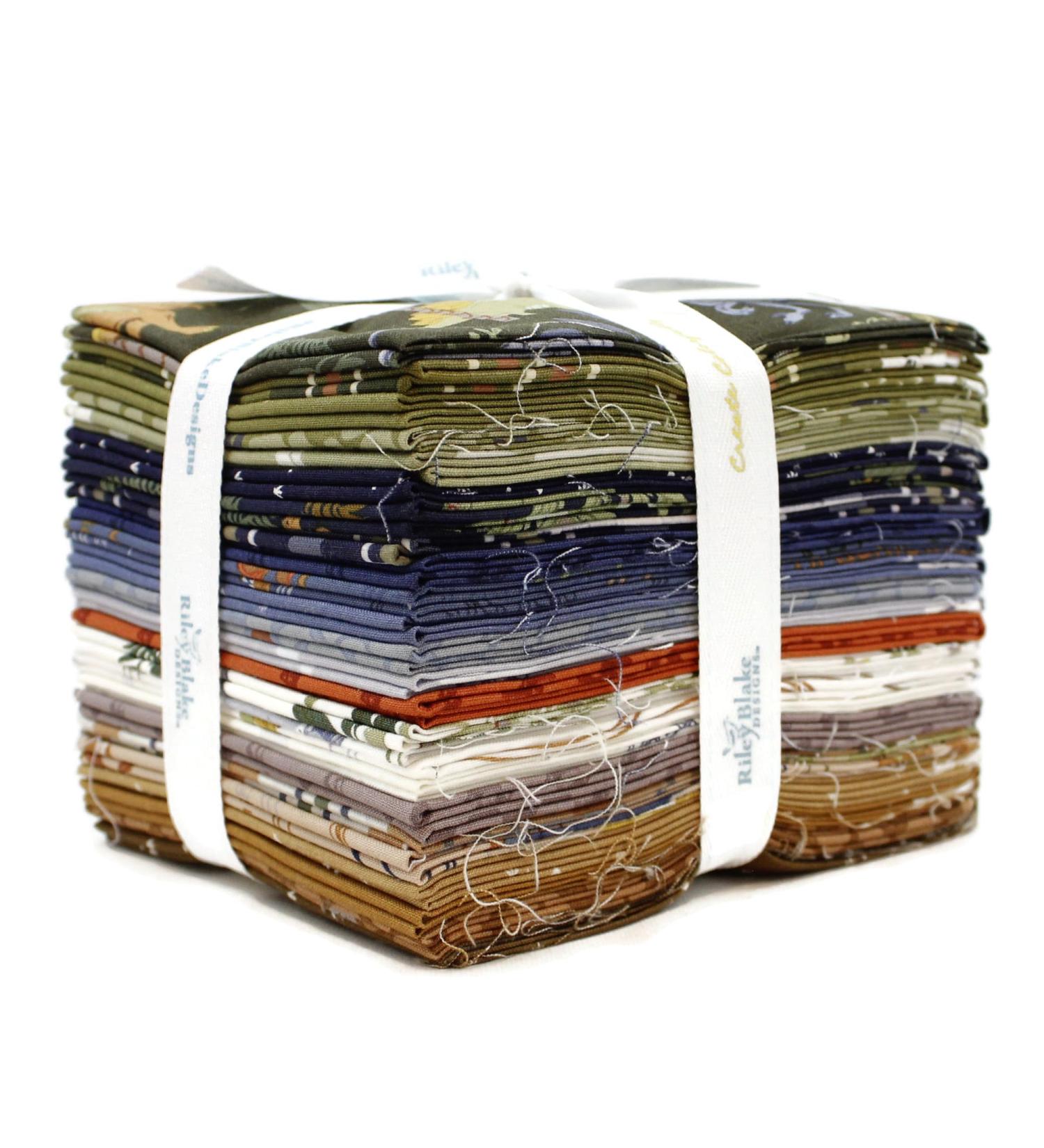 Amanda Niederhauser Cretaceous 24 Fat Quarters Riley Blake Designs FQ-14100-24 - Buy Online on GoSupps.com