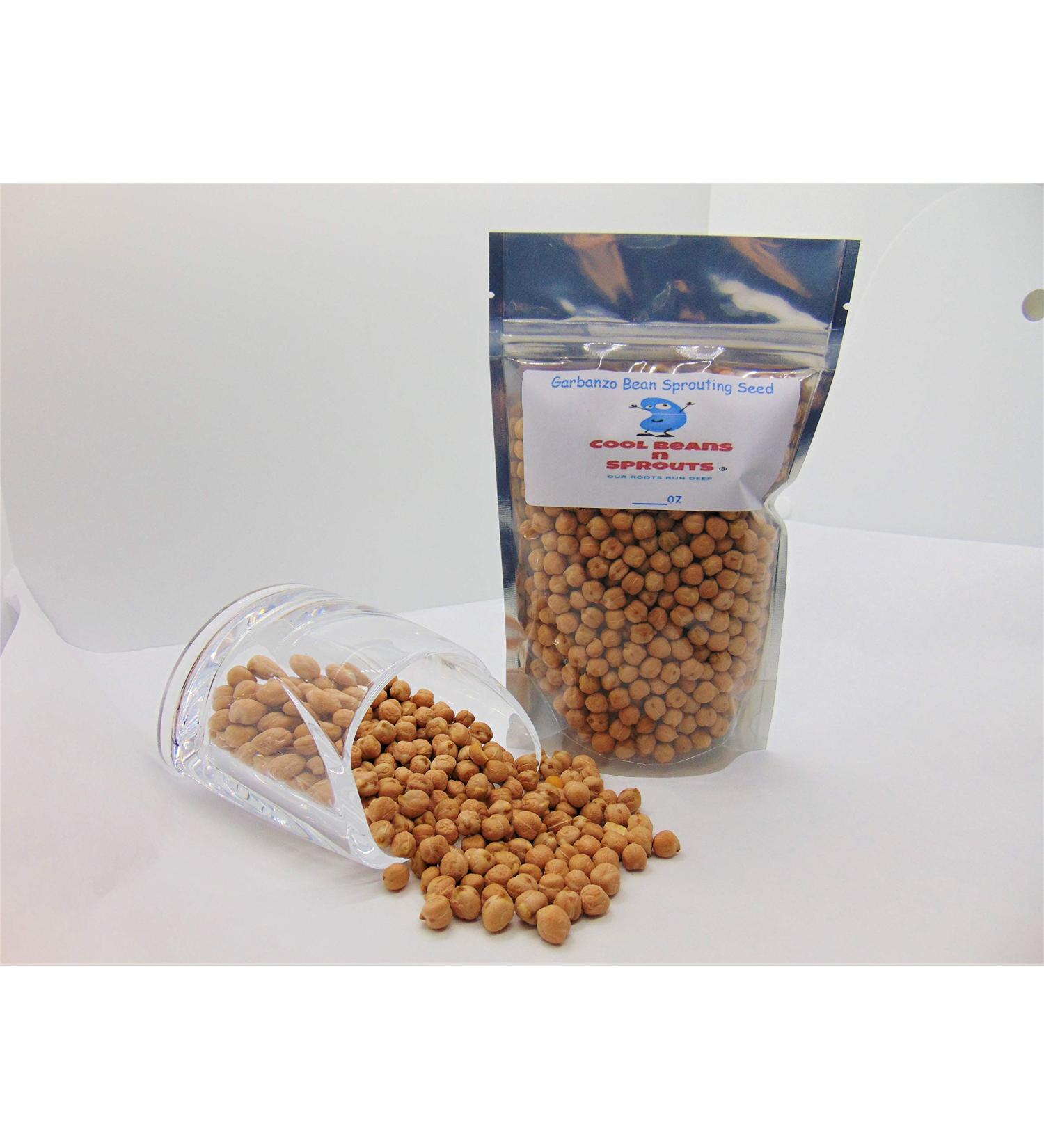 Garbanzo Bean Seeds for Sprouting Microgreens 4 oz - Rich in Vitamins, Minerals, and Health-Promoting Nutrients | COOL BEANS N SPROUTS USA - Buy Online on GoSupps.com