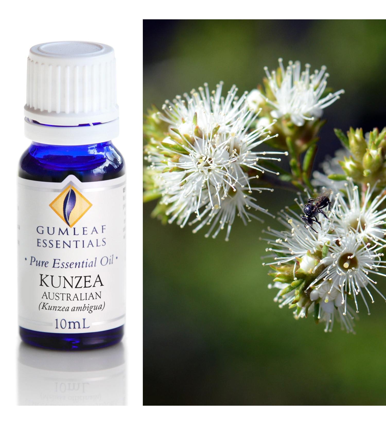 Gumleaf Essentials Kunzea Essential Oil - 10ml Cruelty Free & Vegan 100% Pure & Natural - Buy Online on GoSupps.com