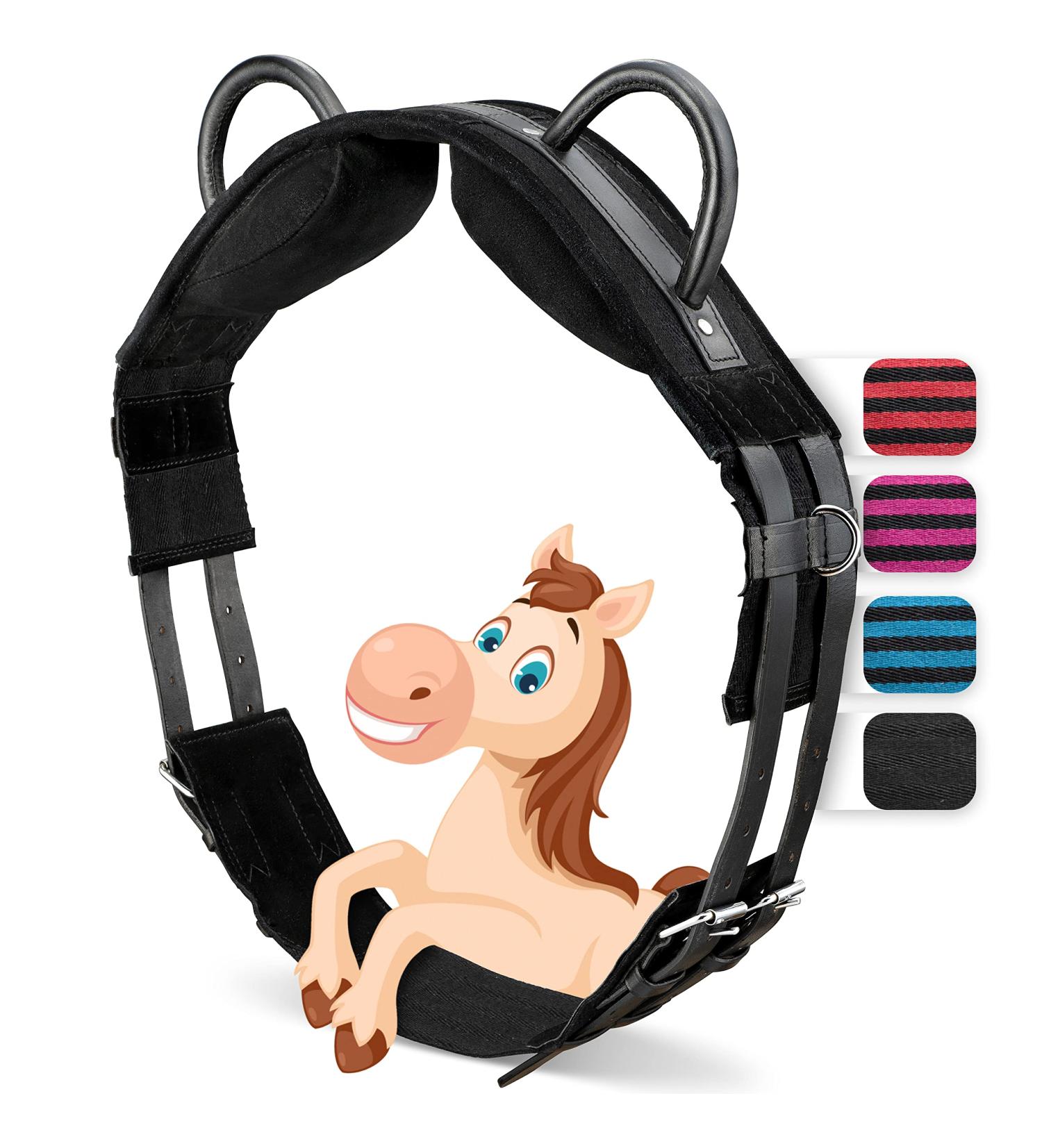 Esposita Riding Strap with 2 Leather Handles - Child & Rider Safety Lunging Belt Vaulting Belt Wooden Horse Accessories - Black - Buy Online on GoSupps.com