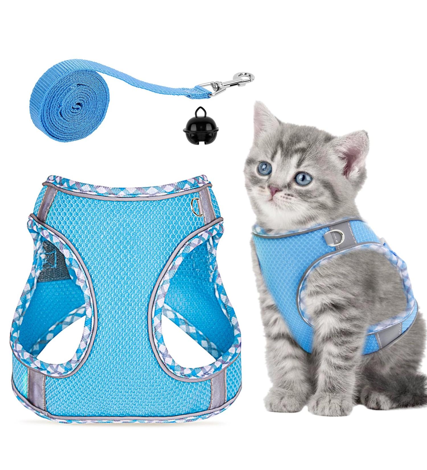 Adjustable Cat Dishes with Leash | Outbreak-Proof & Reflective Cat Supplies for Small Dogs - Buy Online on GoSupps.com
