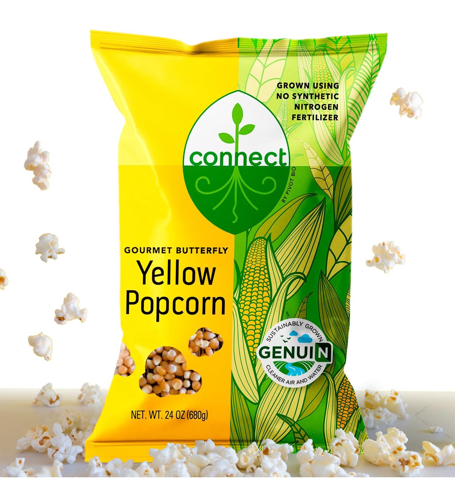 Connect Snacks Non-GMO Large Popcorn Kernels - 24 oz Bag | Gourmet Butterfly Yellow Popcorn | Gluten-Free & Sustainable | 100 Cups Popped - Buy Online on GoSupps.com