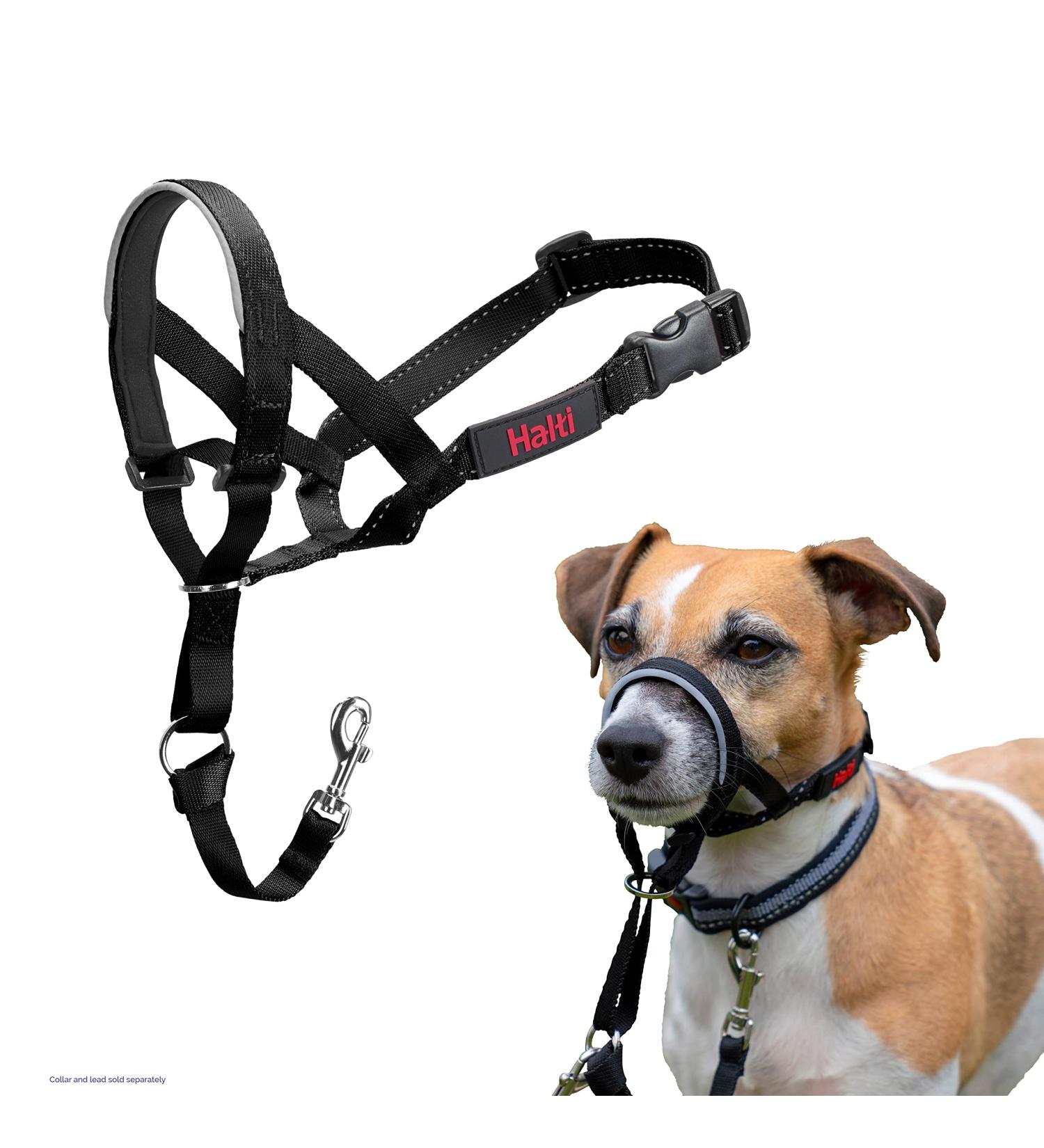 Halti Head Harness for Small Dogs - Anti-Pull Leash Solution Lightweight & Adjustable Padded Nose Strap - Size 0 Black - Buy Online on GoSupps.com