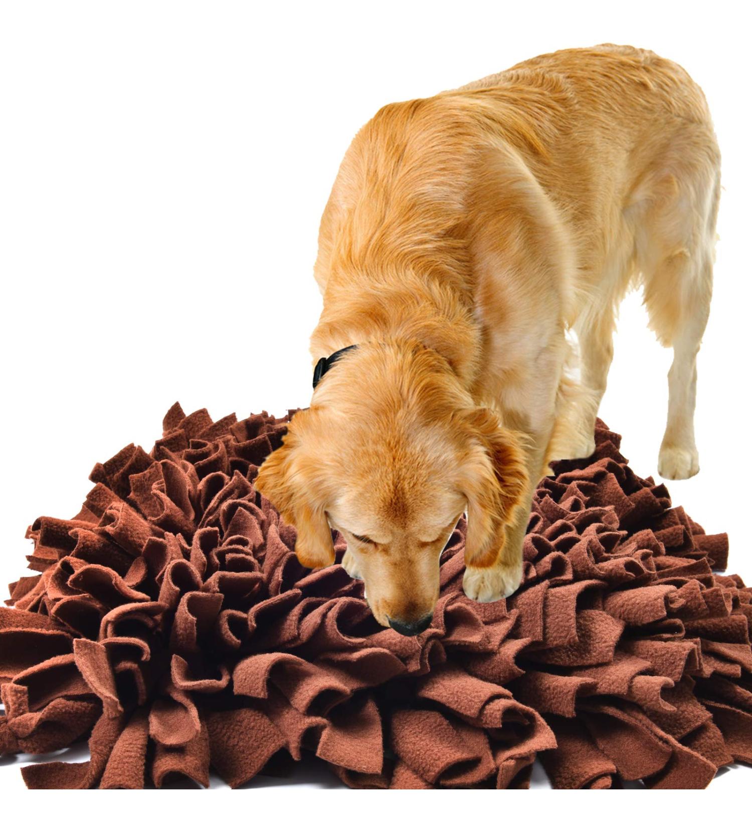 IEUMLER Sniffing Carpet Training Mat for Dogs & Cats - 45x45cm Brown | Sniffing Ceiling Feed Mat for Pet Smell Training - Buy Online on GoSupps.com