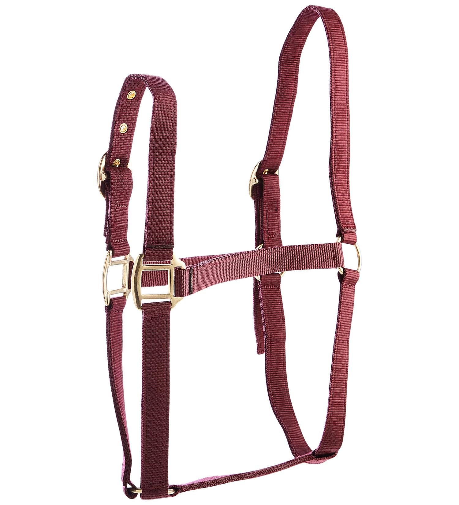 Rhinegold Nylon Halter for Shetland Ponies - Burgundy | Premium Quality & Fast International Shipping - Buy Online on GoSupps.com