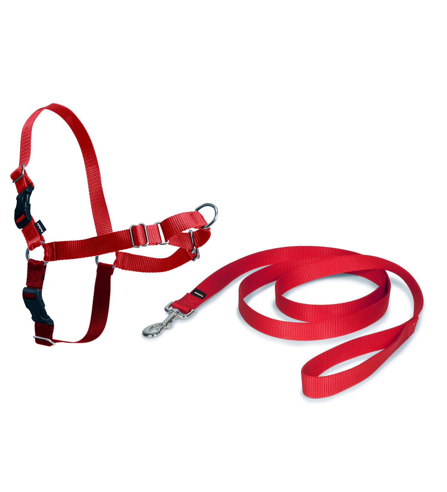 PetSafe Easy Walk Harness - Anti-Pull Dog Harness Reduces Choking & Coughing | Includes 1.8M Leash | Size S | International Shipping Available - Buy Online on GoSupps.com
