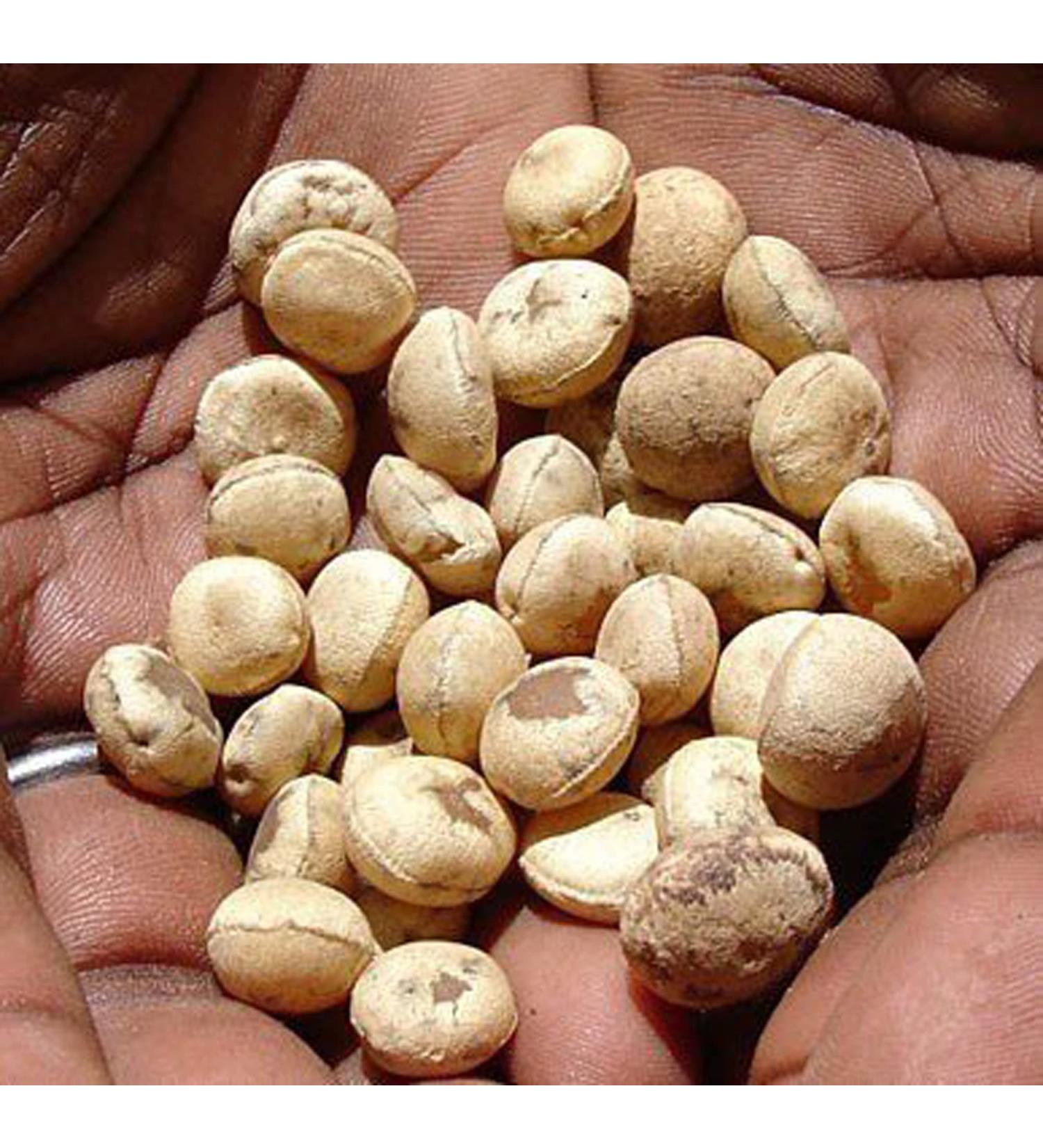 RAW HERB NIRMALI SUPARI STRYCHMOS POTATORUM (100GM) 100 g (Pack of 1) - Buy Online on GoSupps.com