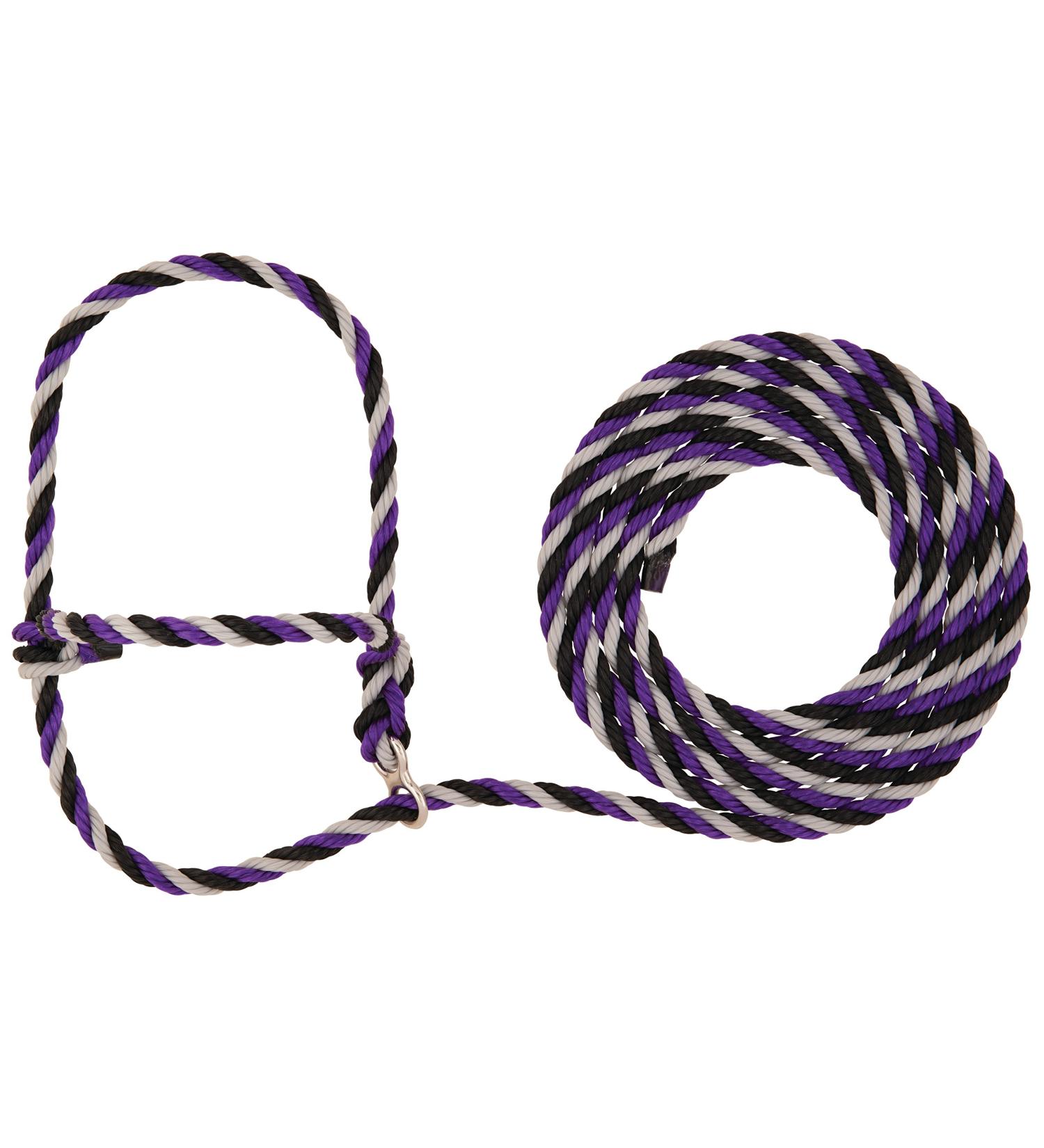 Weaver Leather Livestock Stierwalt Breaking Halter, Purple/Black/Gray, 8 1/2'