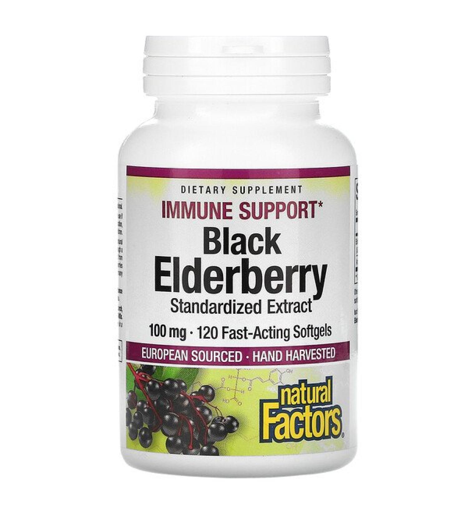 Natural Factors Black Elderberry 100 mg 120 Capsules