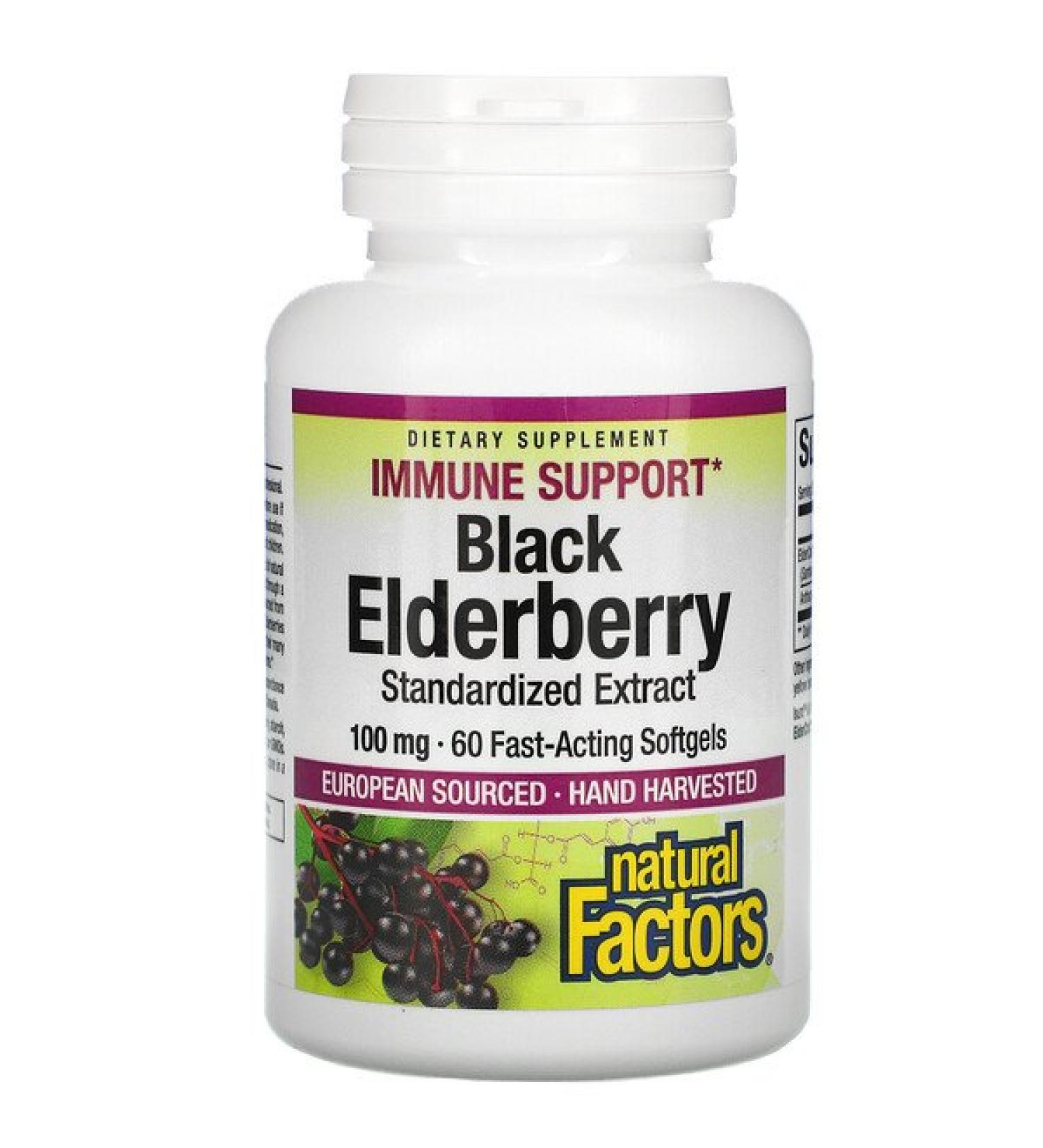Natural Factors Black Elderberry 100 mg 60 Fast-Acting Softgels