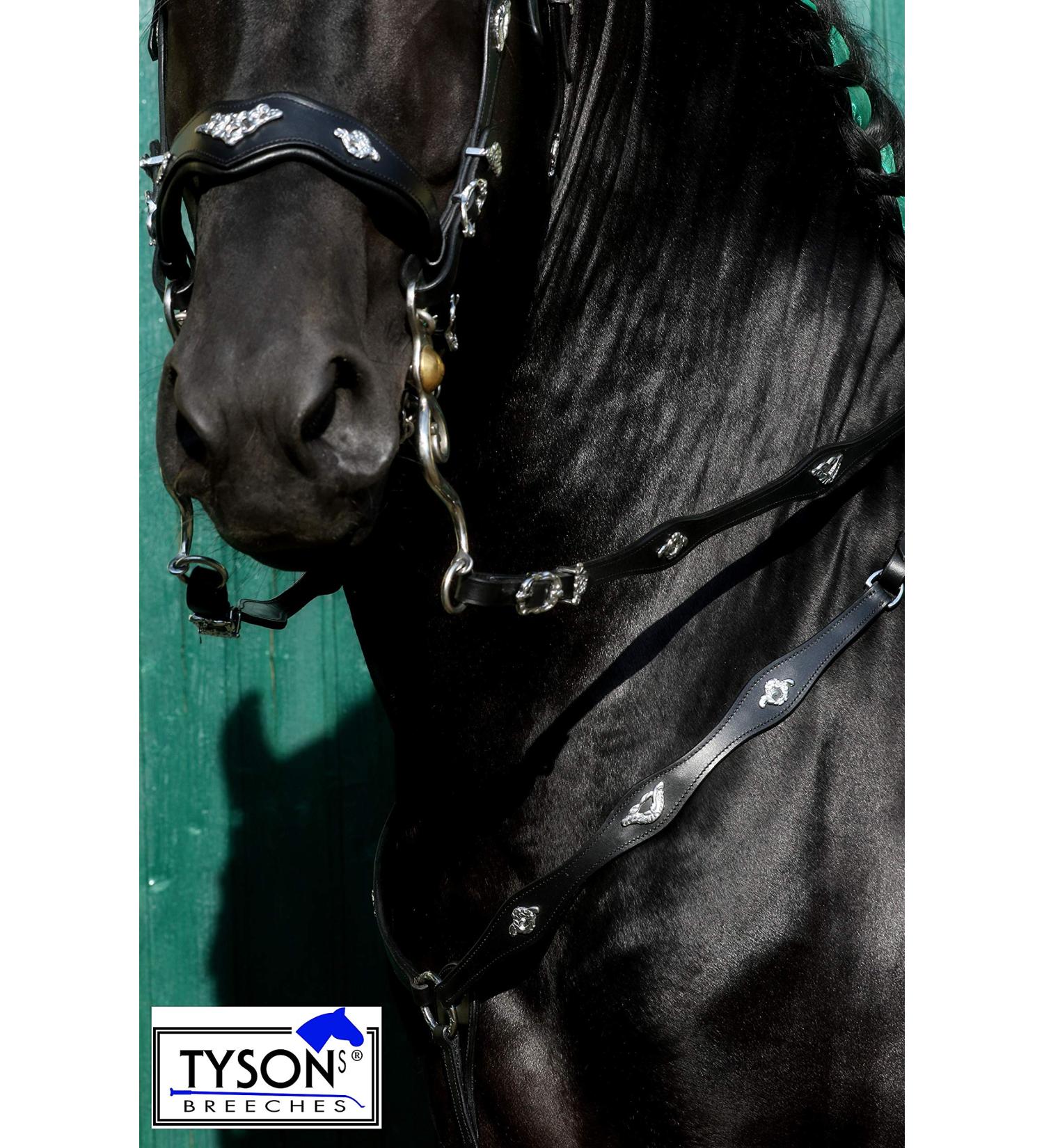 Jose Breastplate Show - Premium Portuguese Spanish Black & Brown Calfblood for VB WB XF XXF - XFULL Black - Buy Online on GoSupps.com