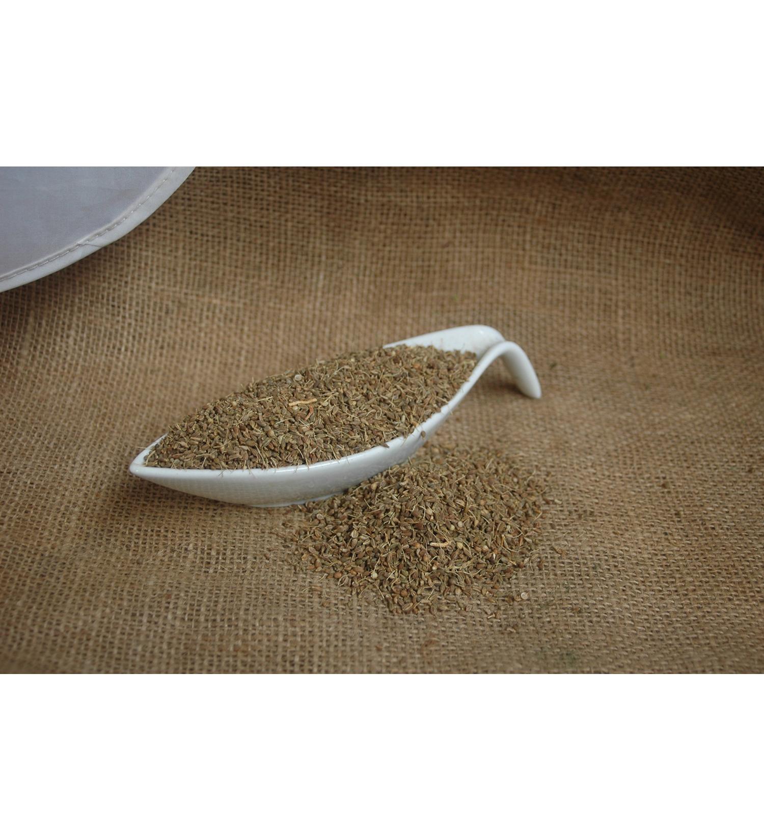 Naturix24 Anis 100 g Food / Spice