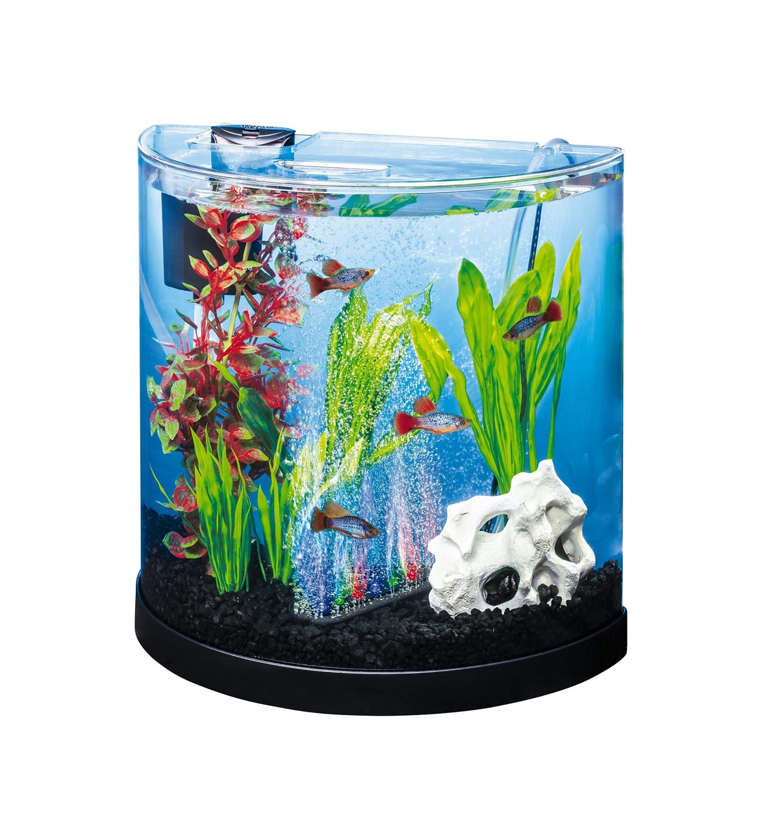 Tetra ColorFusion 3 Gallon Half-Moon Aquarium Kit with Bubbler & Color-Changing Light - Buy Online on GoSupps.com