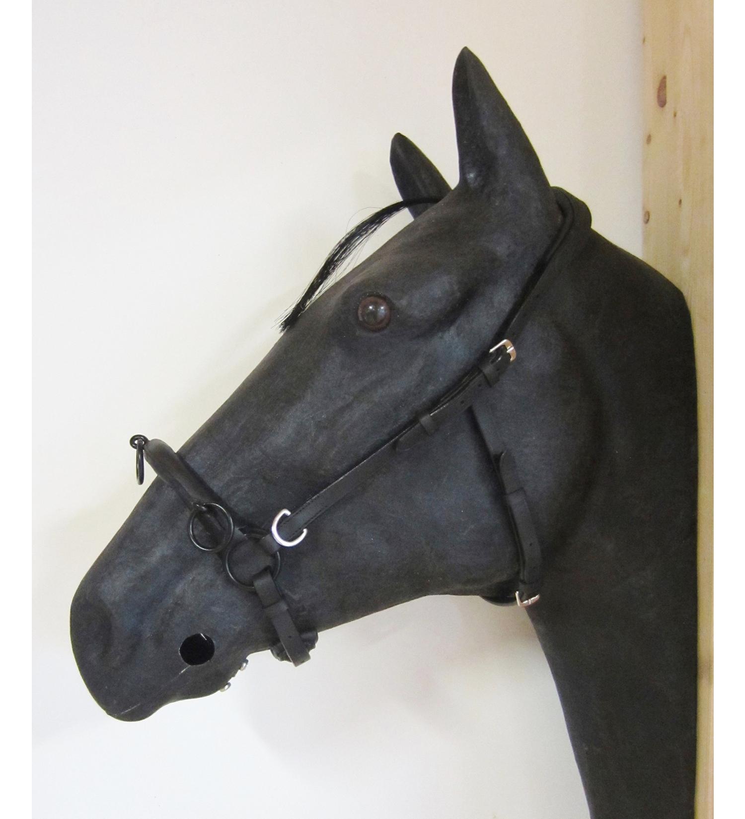 PS Horse Articles Padded Anatomical French Cavesson Cavecon/Cavesson with D-Rings Cob - Color Black