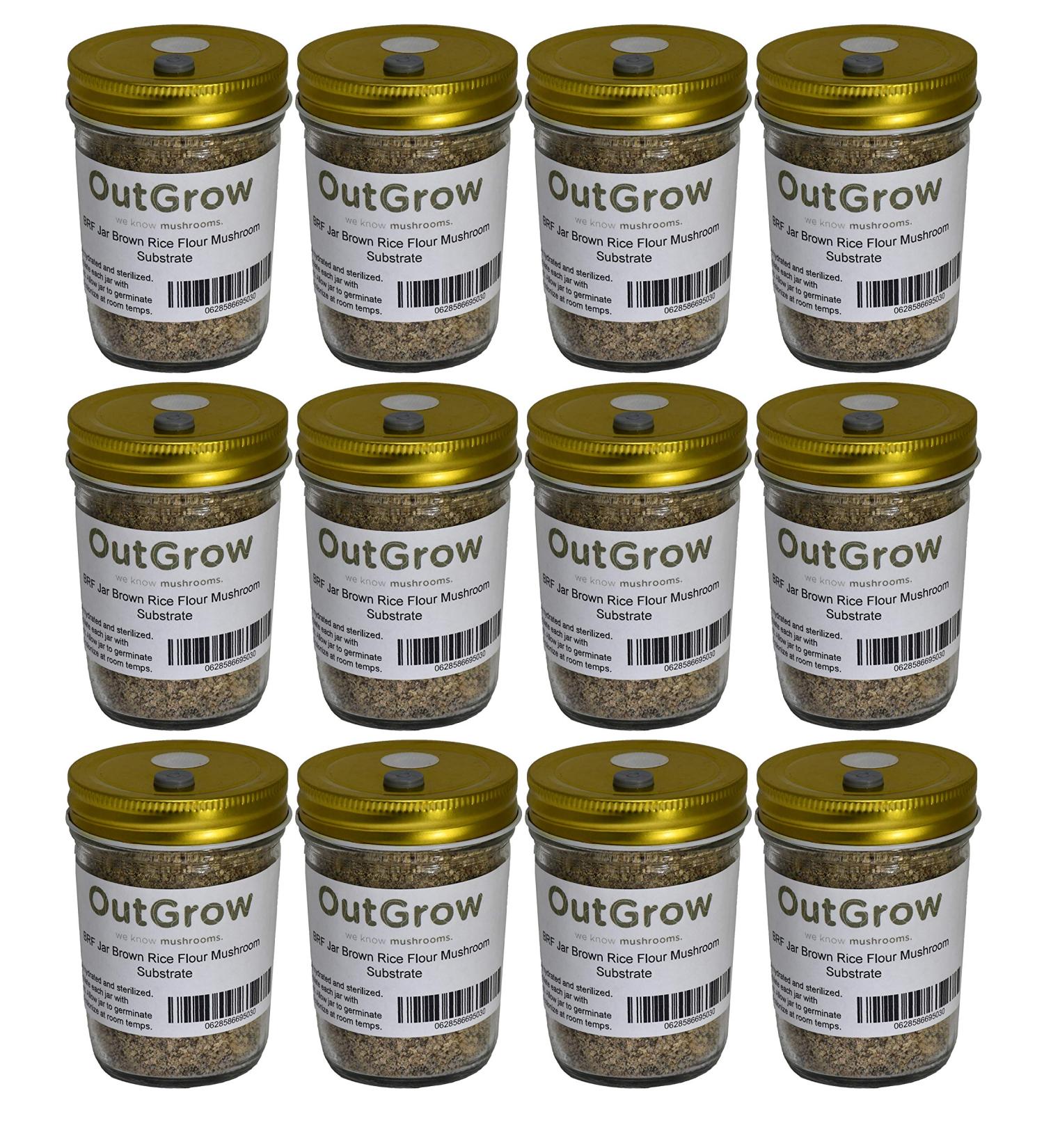 BRF Jars Mushroom Substrate (12 Pack)