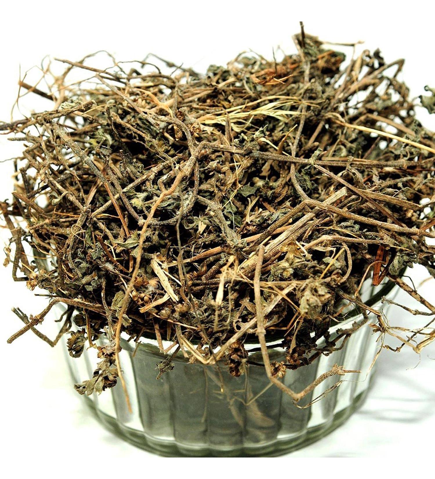 RAW HERB/JADI BOOTI BHRINGRAJ LEAVES BHRINGRAJ PATTA BHANGRA LEAF BHANGRAIYA ECLIPTA ALBA (250GM) - Buy Online on GoSupps.com