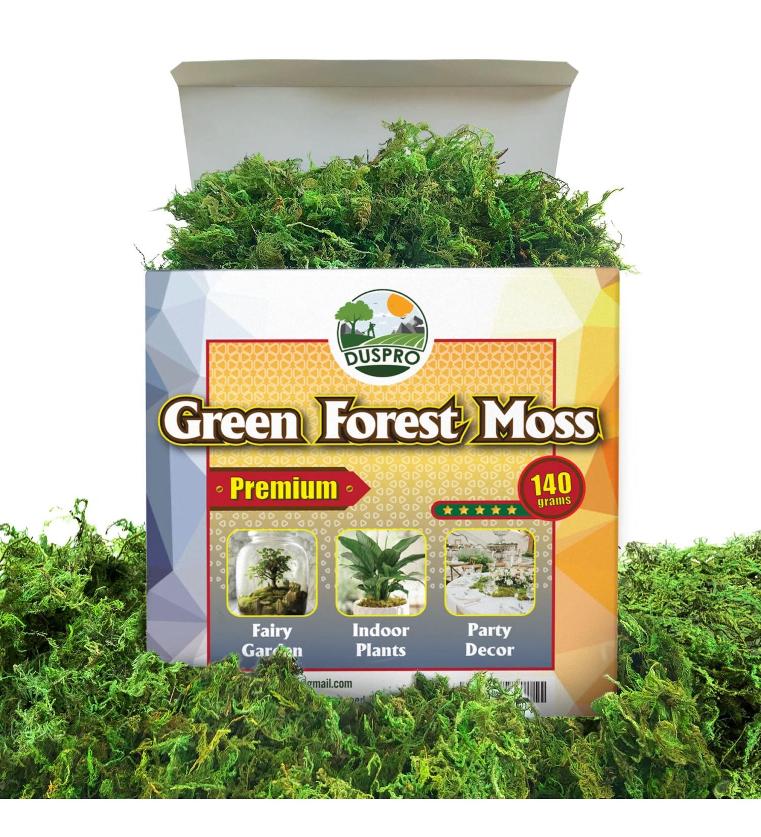 DUSPRO Green Moss: Artificial Moss for Crafts, Potted Plants, Table Decor, Weddings & DIY Projects - 140gr - Buy Online on GoSupps.com