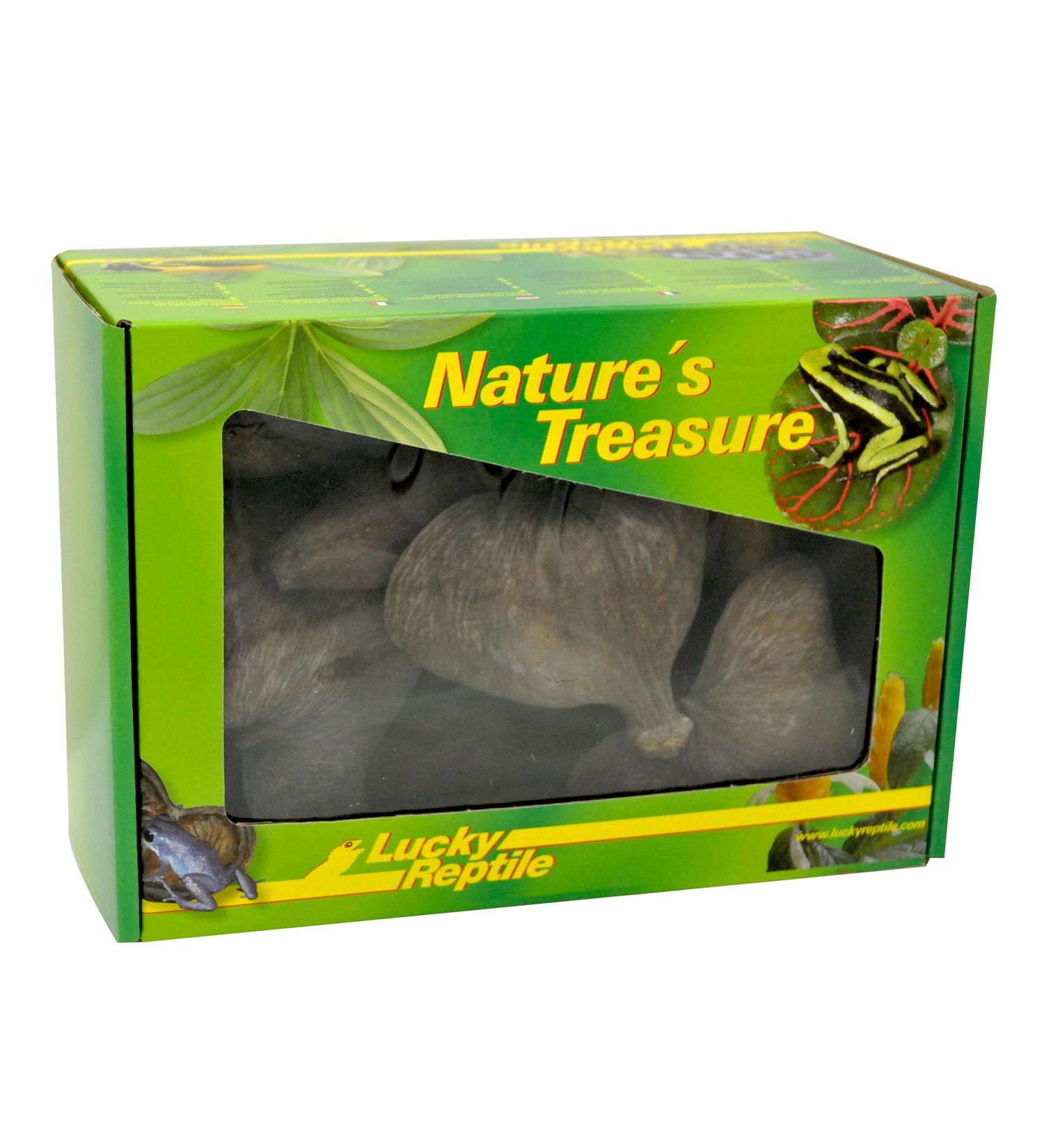 Lucky Reptile DB-01 Nature's Treasure Decor Box - Buy Online on GoSupps.com