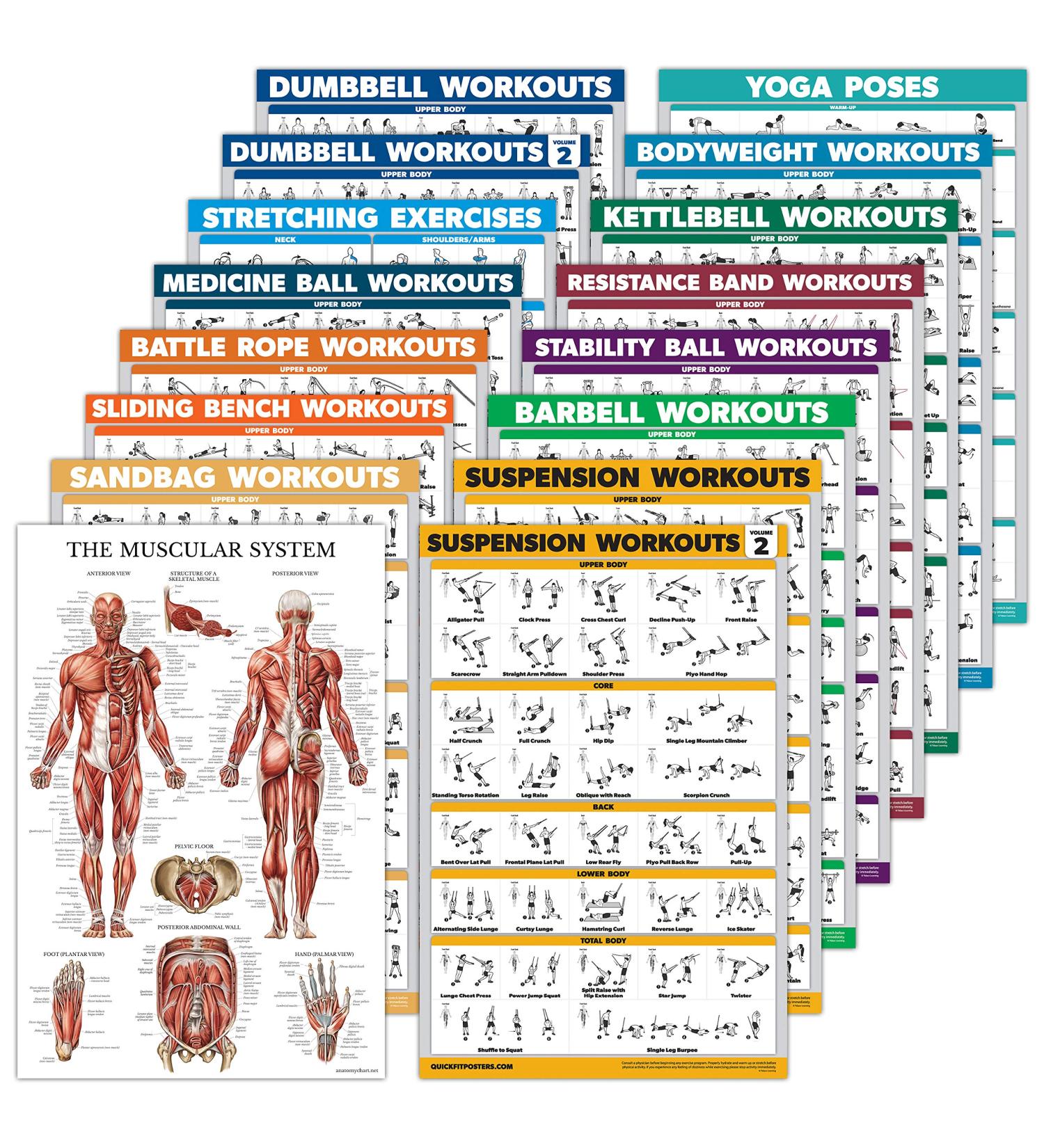 16-Piece Exercise Training Poster Set | Dumbbell Suspension Yoga & More | 18x24 Inch | Ships Internationally - Buy Online on GoSupps.com