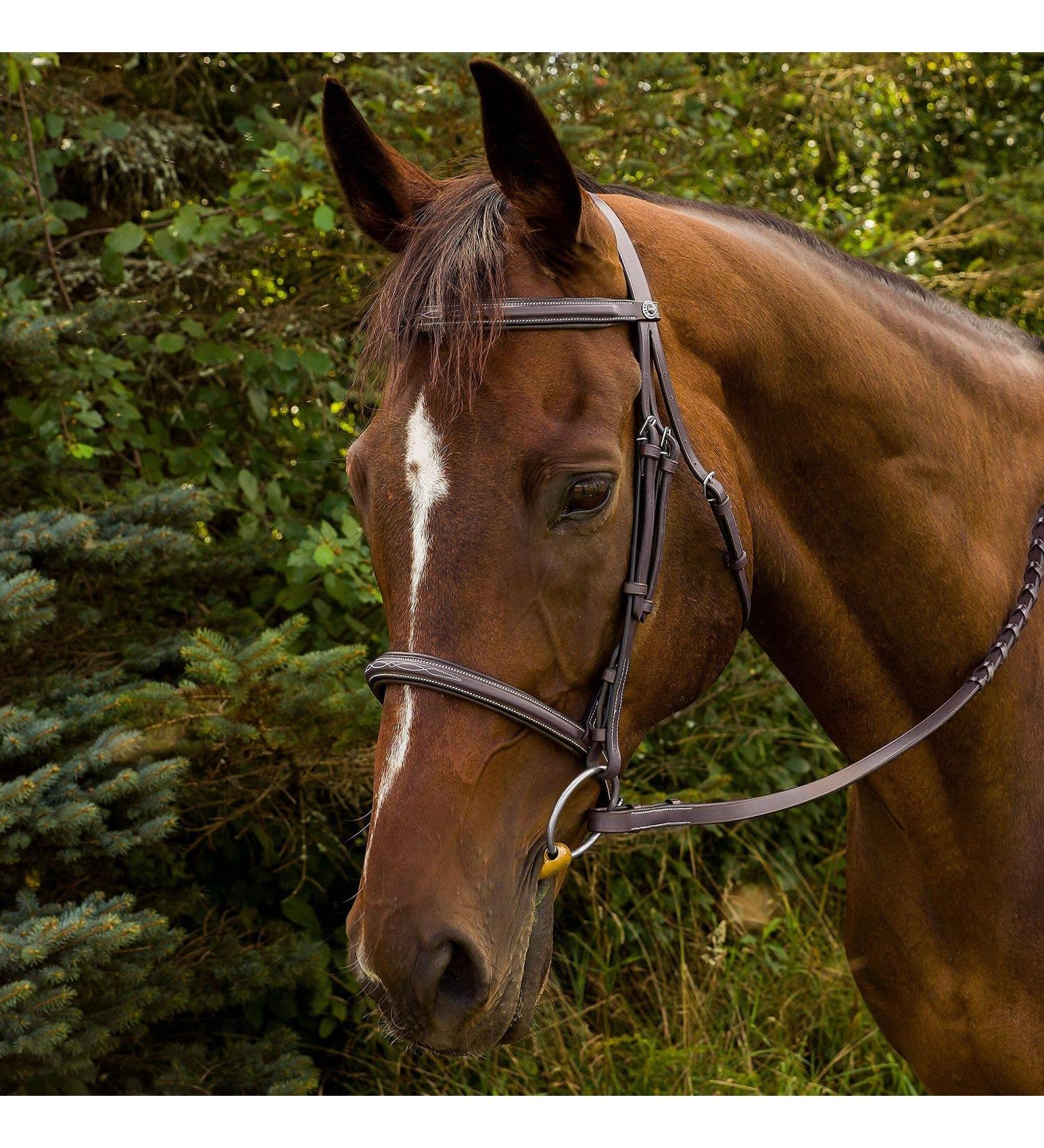 Henri de Rivel Havana Cob Bridle with Padded Fancy Raised Design and Laced Reins - Buy Online on GoSupps.com