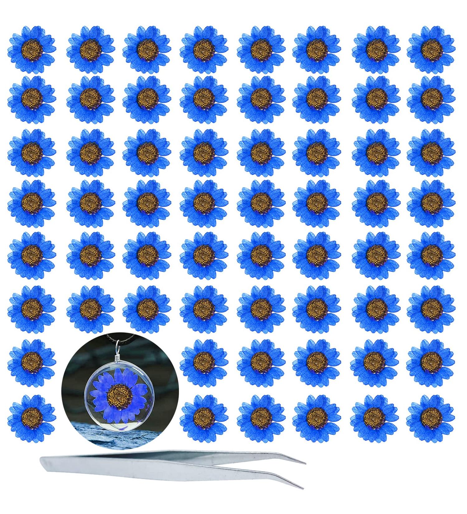 Heisenlin Dried Pressed Flower 60PCS Blue Natural Real Daisy Flowers with Forceps - DIY Crafts, Resin Jewelry, Soap, Scrapbooking - Nail Pendant Decoration - Buy Online on GoSupps.com