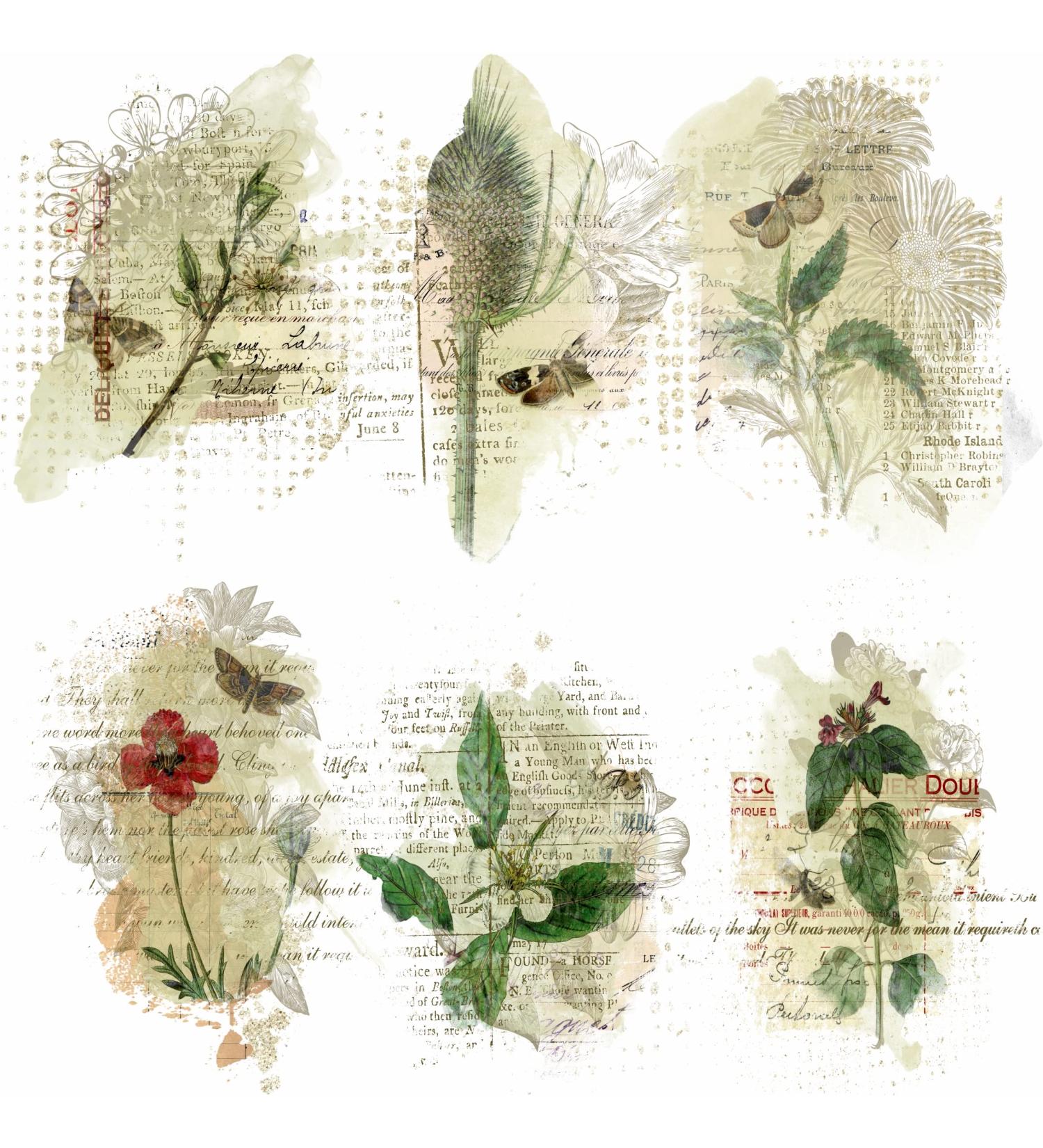 Greenery Overlay Rice Paper 8x10.5 inch - 6 Different Printed Mulberry Paper Images for Decoupage Crafts and Mixed Media Art - Buy Online on GoSupps.com