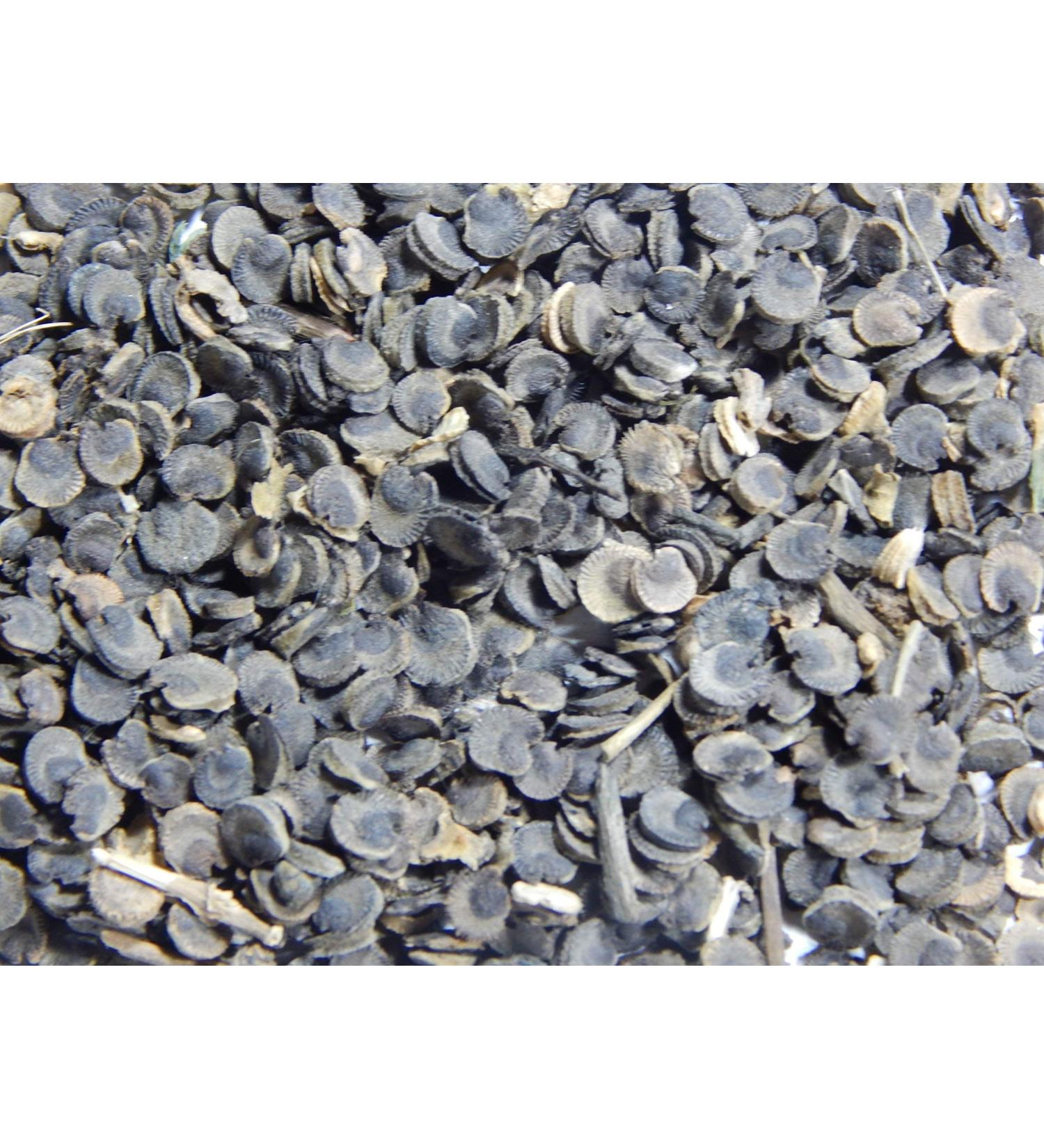 Natural Khatmi Marsh Mallow Althaea Officinalis 150 gm - Buy Online on GoSupps.com