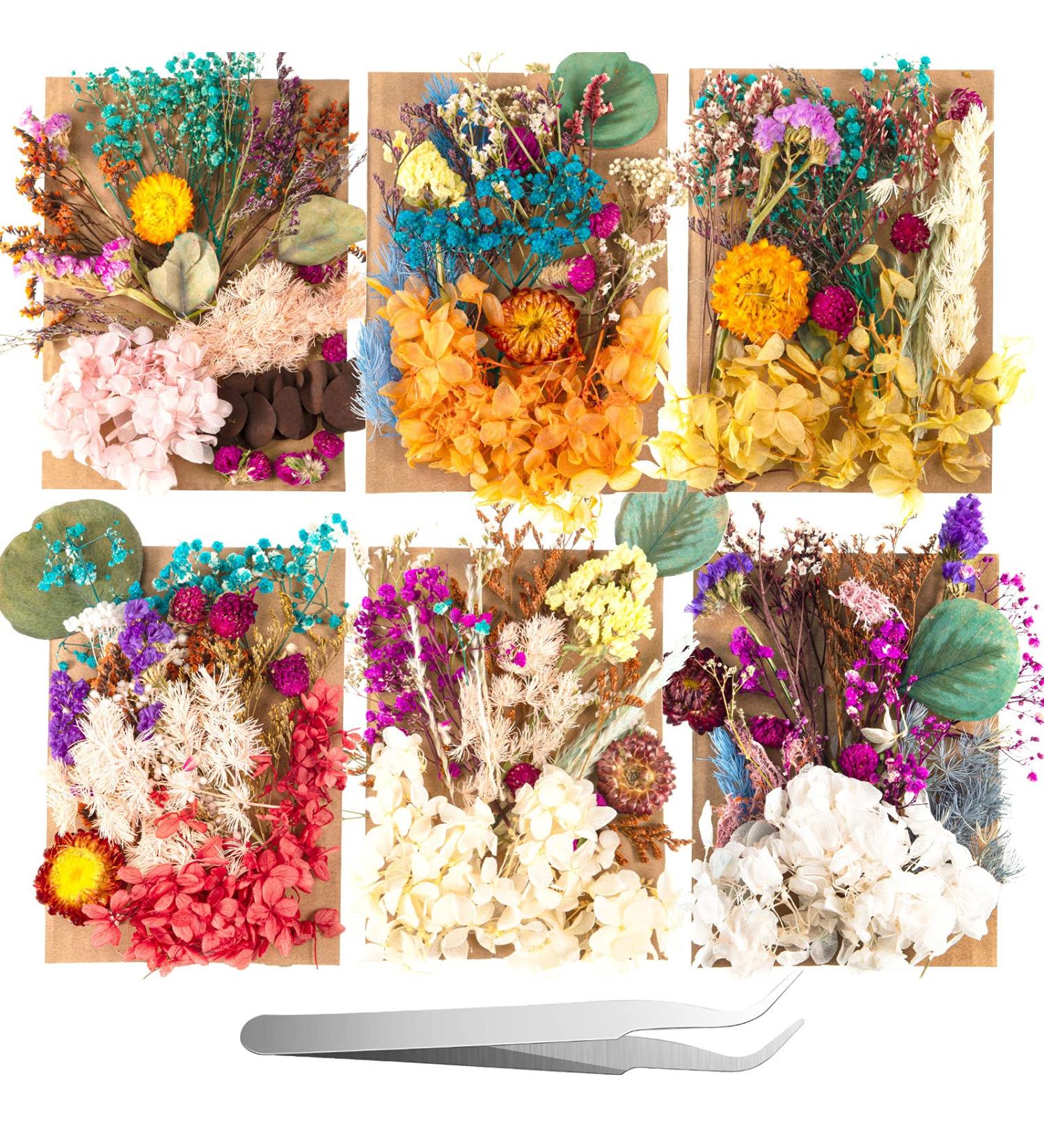 Pressed Dried Flowers Kit with Tweezers - Colorful Real Dried Flowers for Resin Jewelry DIY - Buy Online on GoSupps.com