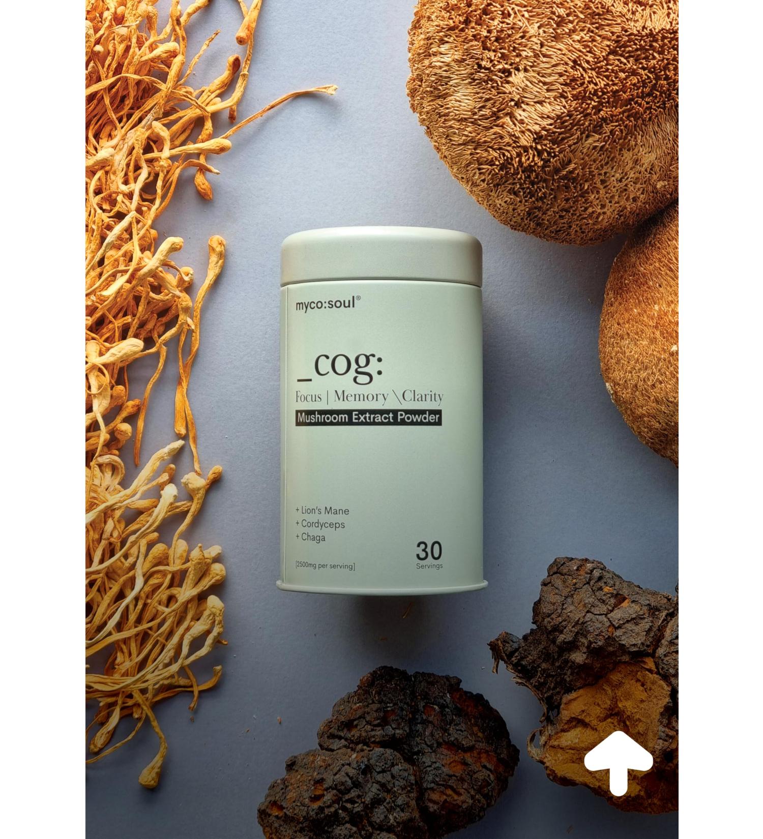 _cog: Brain Fuel | Organic Mushroom Extract 3 | Synergy | Lion's Mane | Improves Cognitive Function Memory Boosts Energy | Add to All | Lab Tested | Bio-available - Buy Online on GoSupps.com