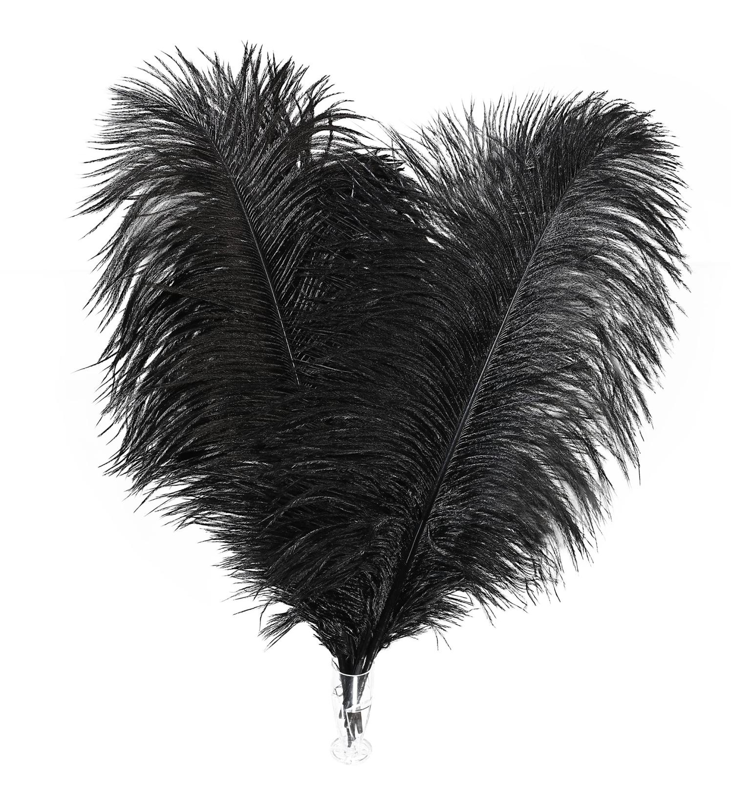 Soarer Black Ostrich Feathers Bulk - 30pcs 8-10 inch for Wedding Party Centerpieces & Home Decor - DIY Crafts (Black) - Buy Online on GoSupps.com