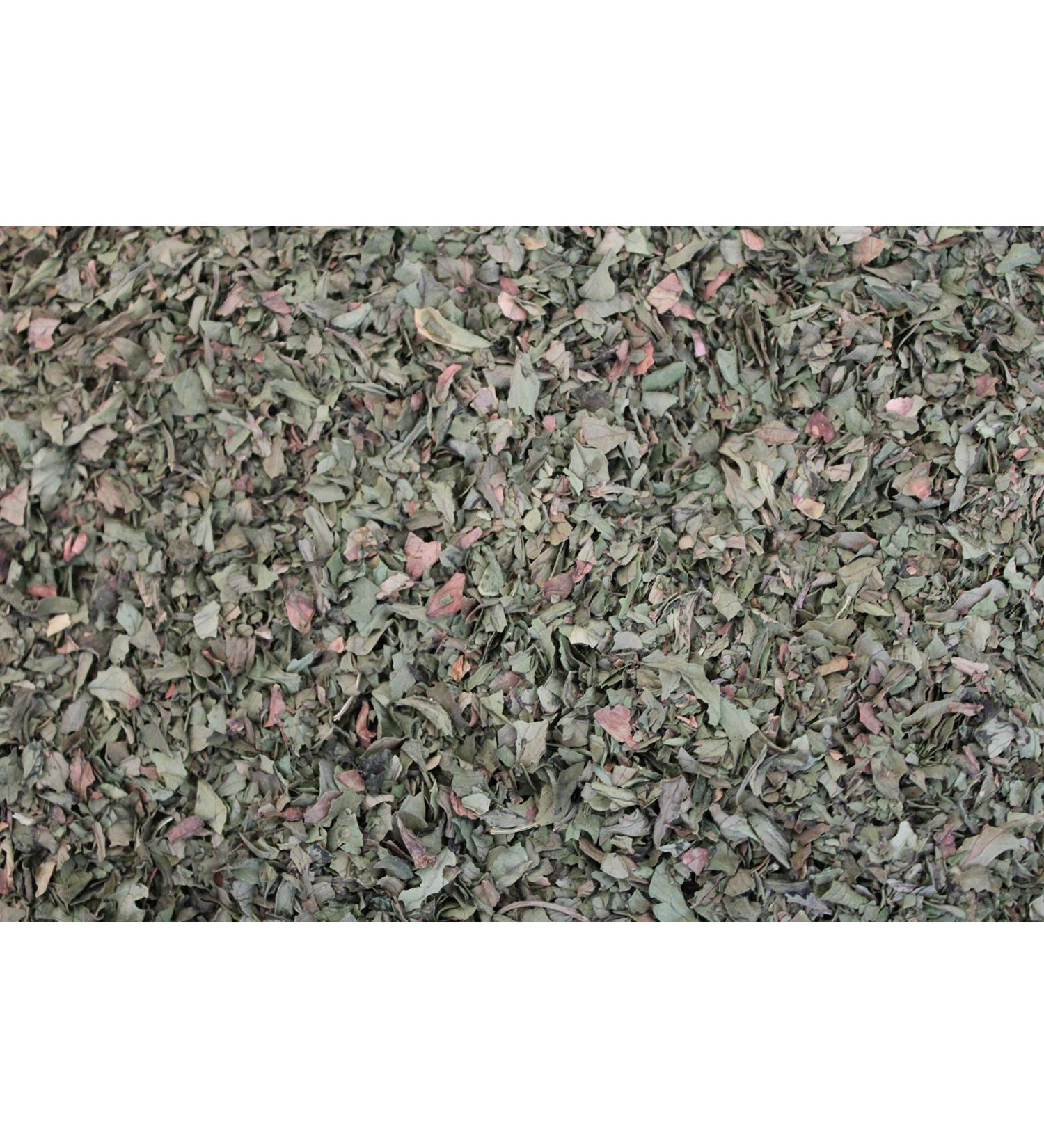 1000Kr uter 1000Kr uter Basil Kitchen Herbs (Ocimum Basilicum) (50 g)