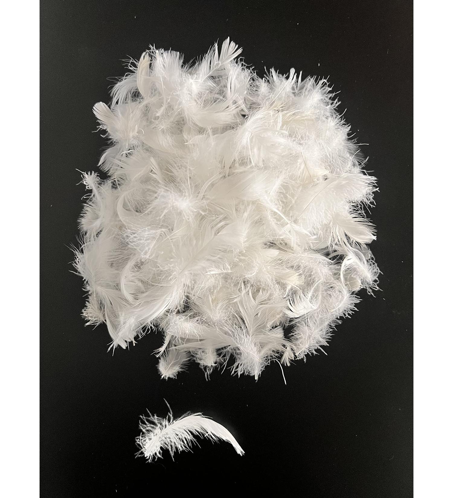 ROSE FEATHER Bulk Goose Down 4lb - Hypoallergenic Pillow Filling for Repair & Restuff - Ideal for Couch Cushions, Comforters, Jackets - Premium White Goose Down Stuffing 5/95 Ratio - 1800g DIY Fill - Buy Online on GoSupps.com