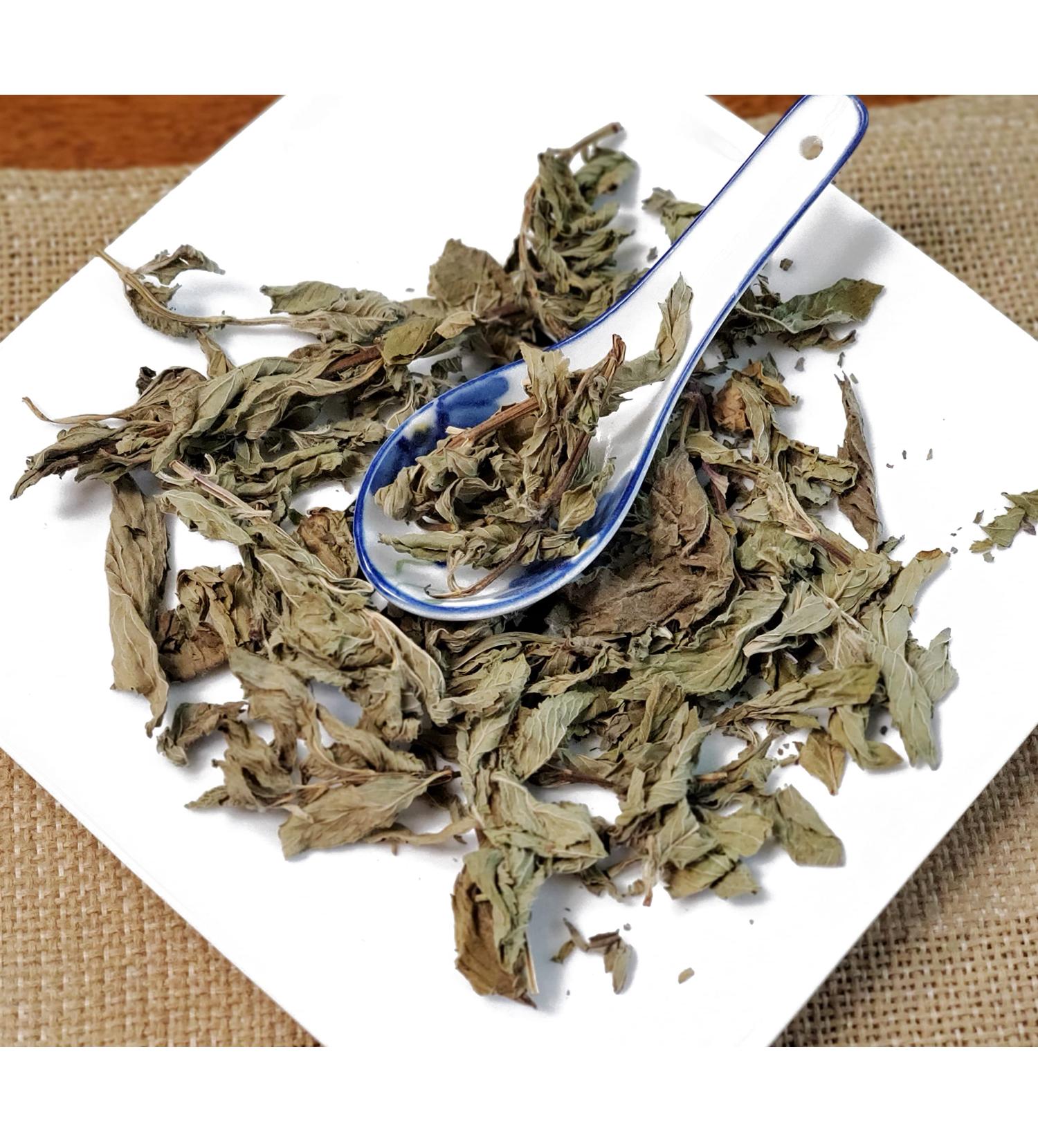 TCM Herbs USA Bo He Ye / Menthae Haplocolycis Herba / Mentha / Field Mint Leaves (16 oz)