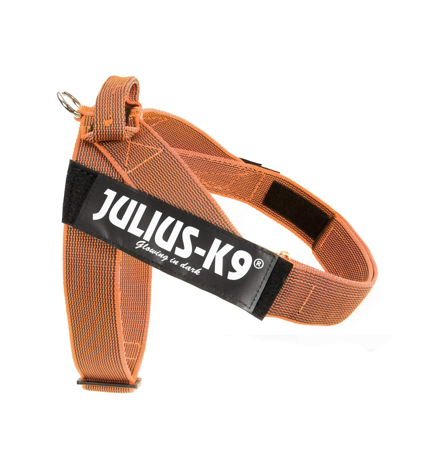 Julius-K9 XL Orange-Grey Belt Harness | Durable & Comfortable Dog Harness for International Shipping - Buy Online on GoSupps.com