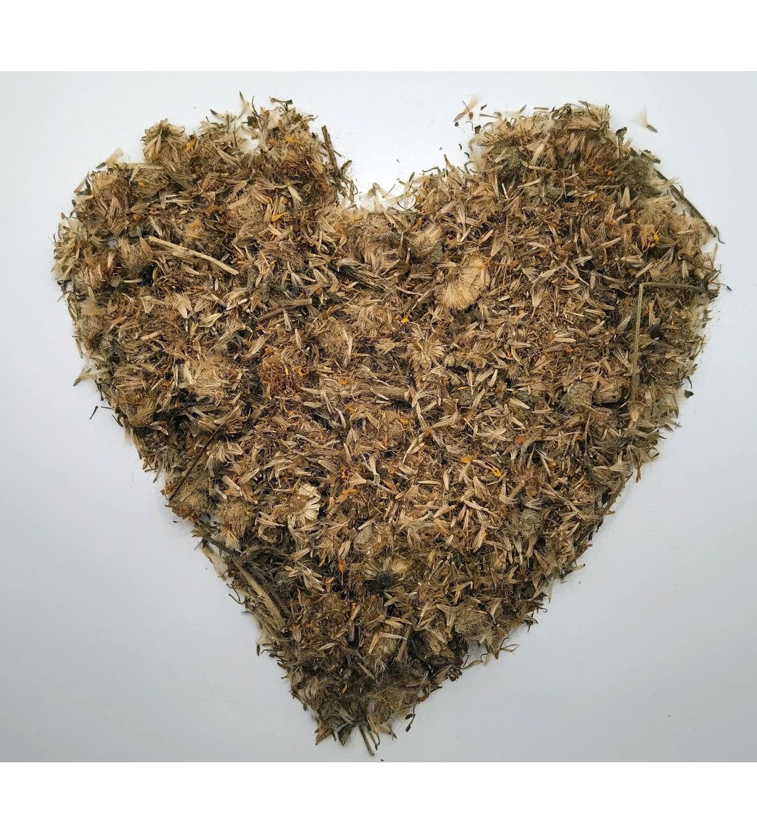 Krauterino24 Krauterino24 - Mexican Arnica Wings - Arnica - Quantity: 250 g