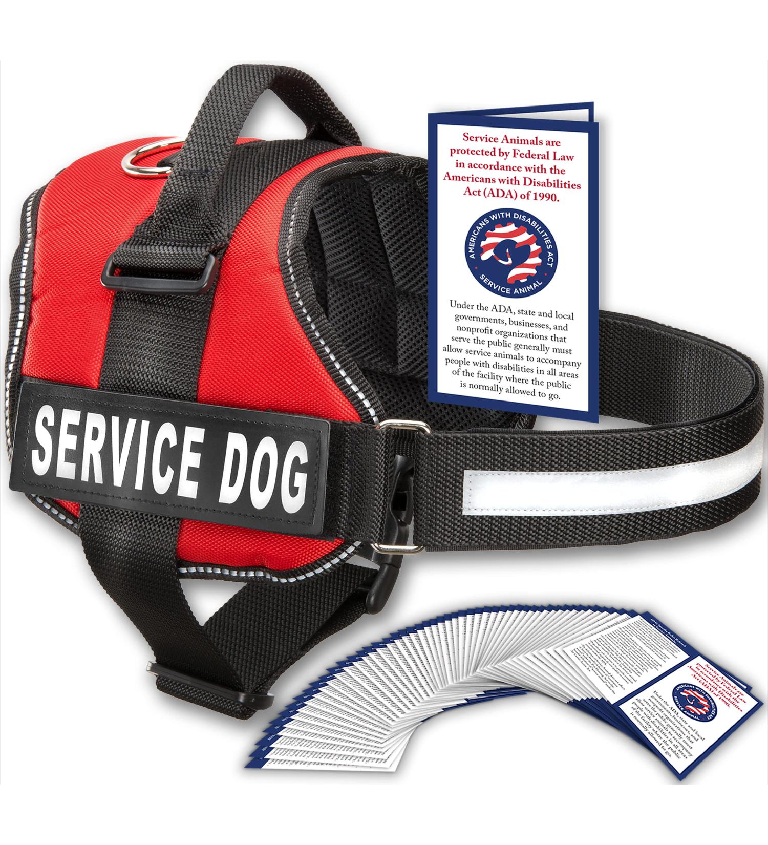 Service Dog Harness with Hook and Loop Straps, Handle | Reflective Patch, Mesh Design | Red, Small, XXS to XXL - Buy Online on GoSupps.com