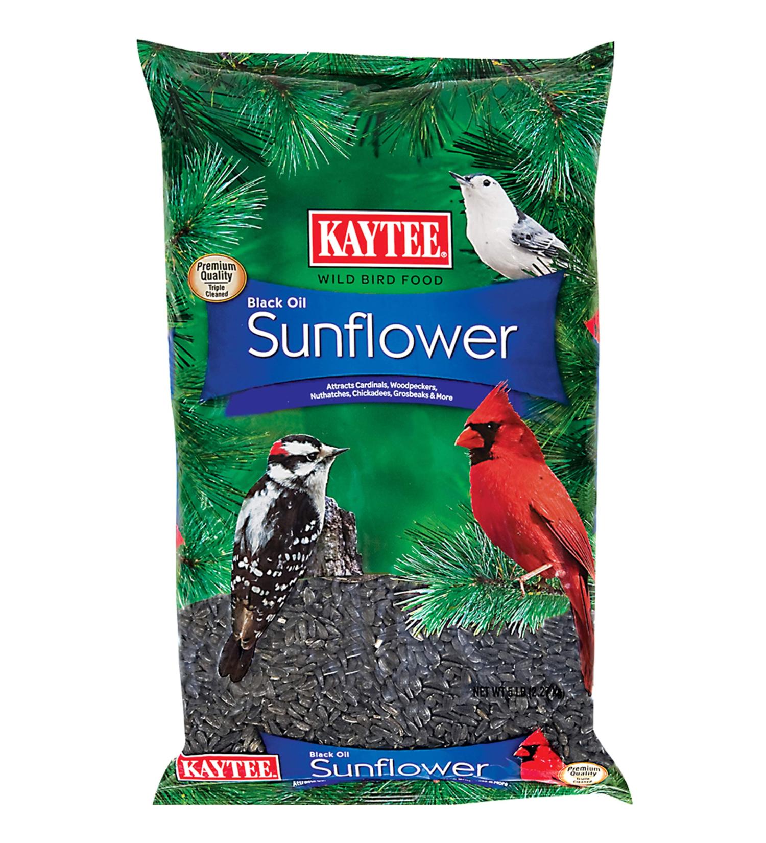 Kaytee Wild Bird Black Oil Sunflower Food - 5 lb Premium Seed for Wild Birds - Buy Online on GoSupps.com