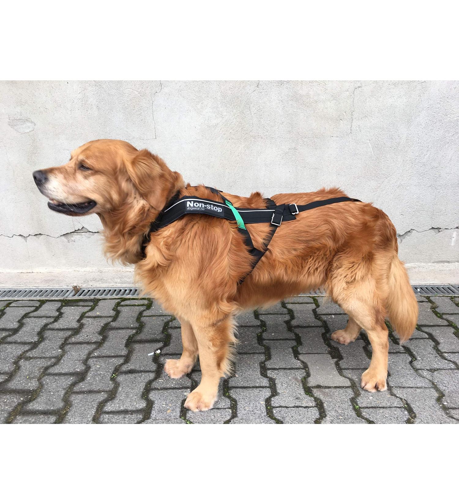 DOG Copenhagen Non-Stop Harness for Canicross Free Motion Size T9 Black 8
