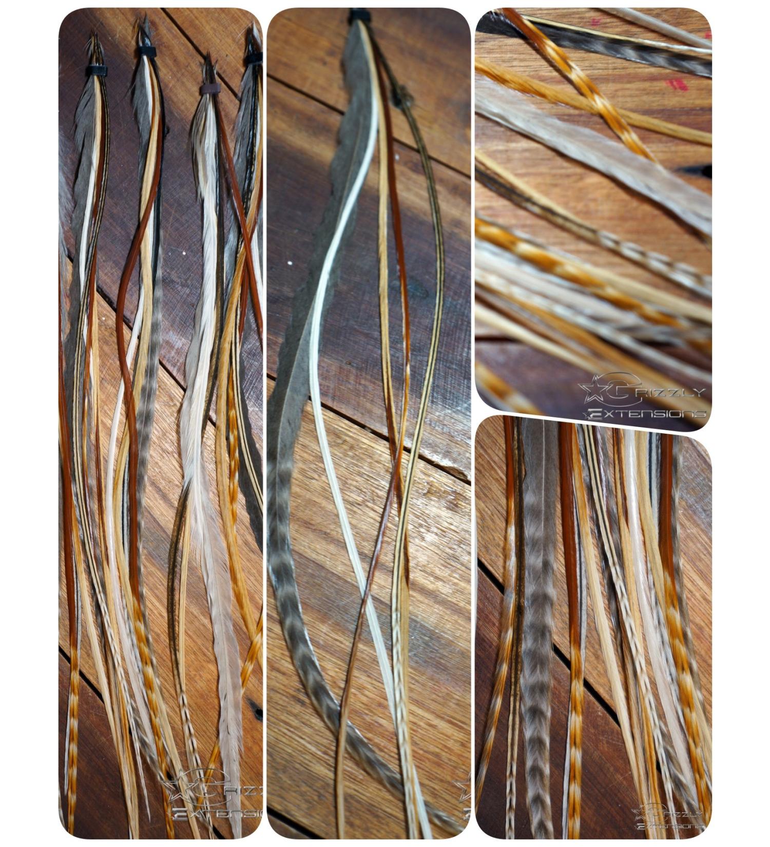 5 Natural Tone Feather Extensions + 1 Light Grey Wide Extension - International Shipping Available - Buy Online on GoSupps.com