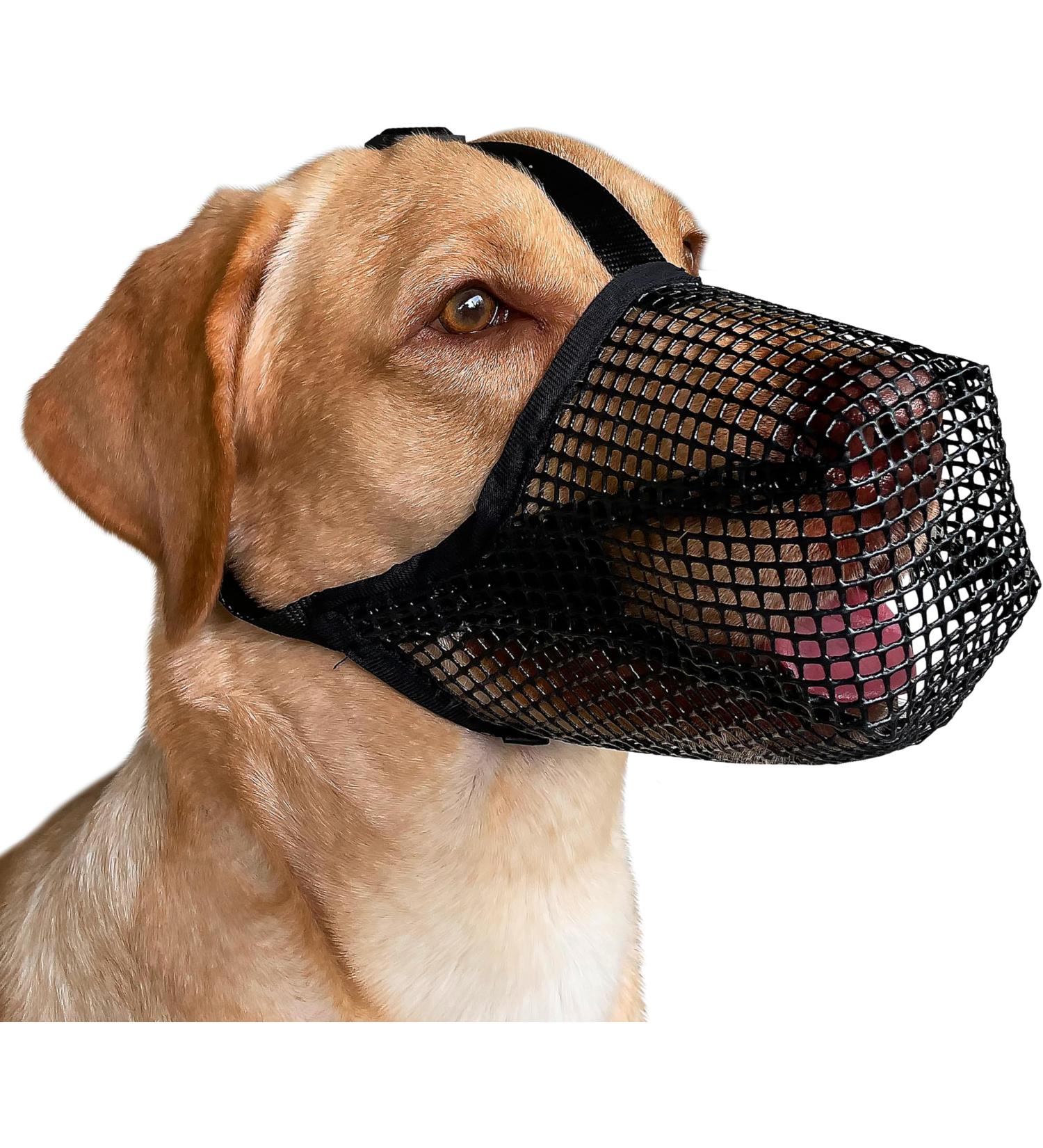 Adjustable Dog Muzzle for All Sizes | Soft Mains Cover Poison Bait Protection & Bite Prevention - Black - Snout Size M (9 - 10 ) - Buy Online on GoSupps.com