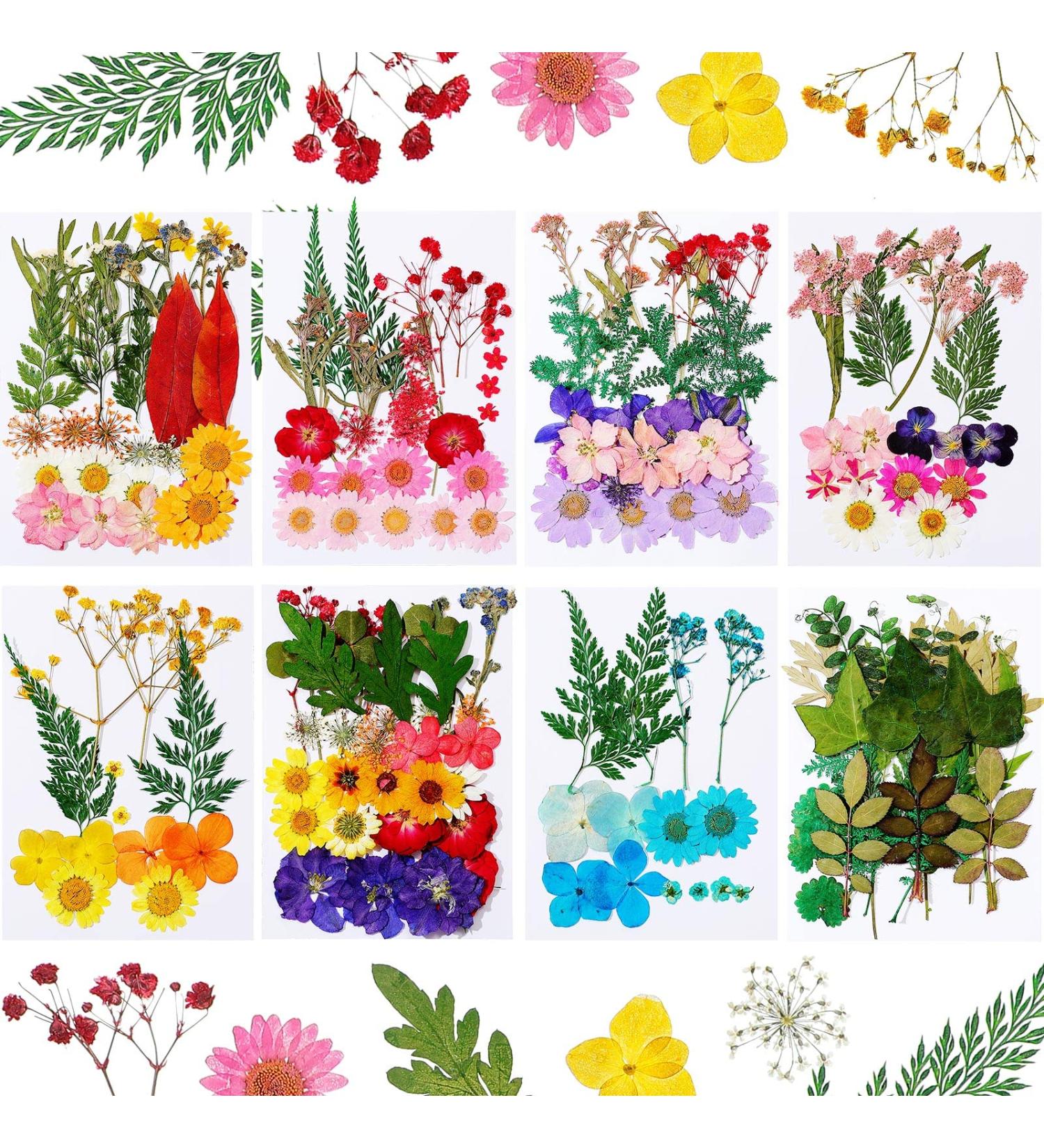 Nuanchu Real Dried Pressed Flowers - 200 Pieces for Resin Mold, Scrapbooking, DIY Crafts - Daisy, Leaves for Jewelry, Candle Making - Buy Online on GoSupps.com