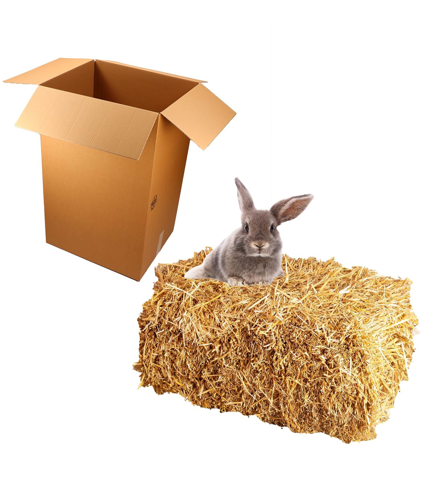 15 kg Quality Wheat Straw Bales for Rabbits & Guinea Pigs - Fresh Unsprayed Farm-Direct | Ideal for Food & Decoration - Buy Online on GoSupps.com